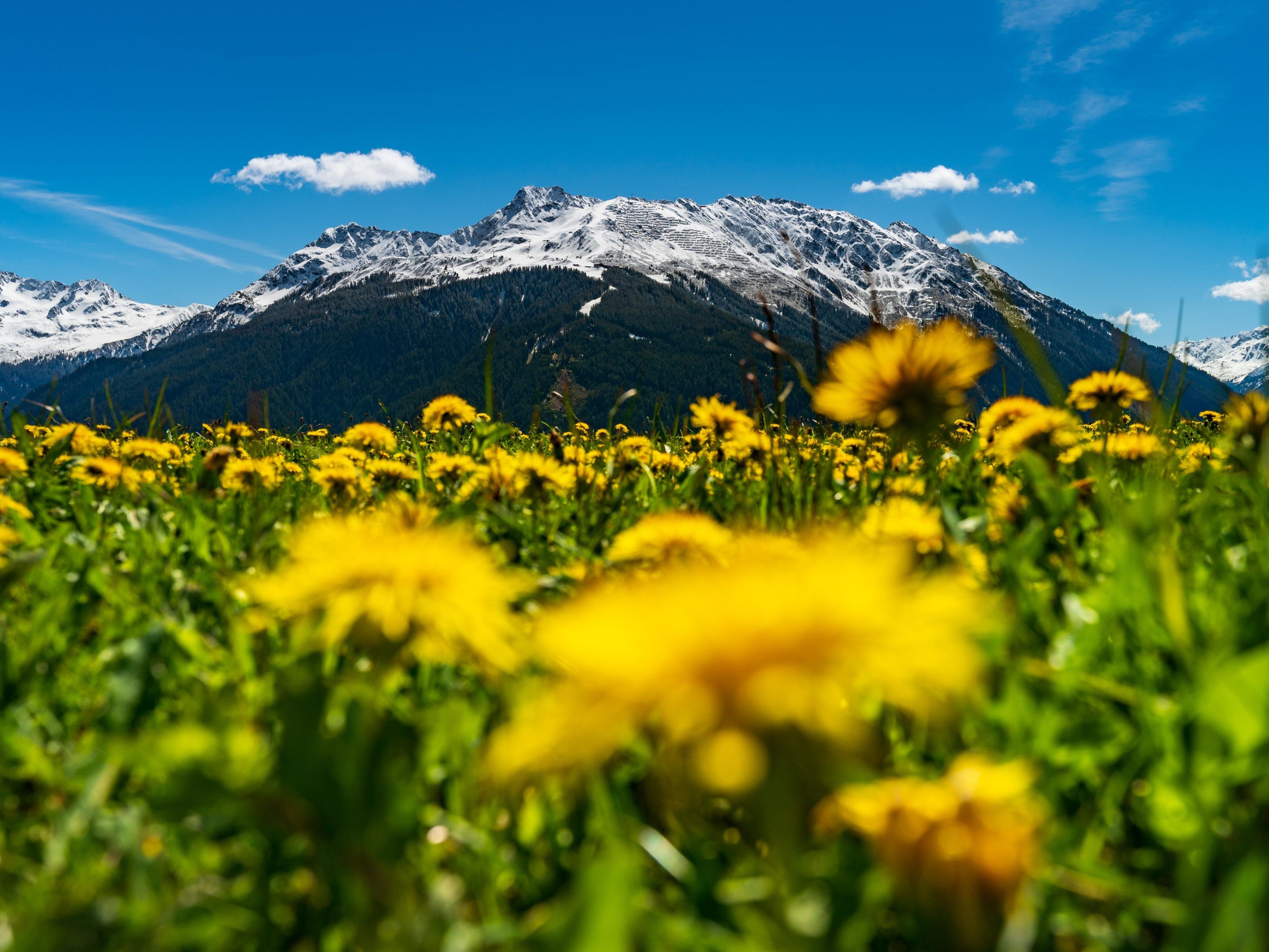 Die nächste Woche wird fast schon sommerlich. Die nächste Woche wird fast schon sommerlich.
