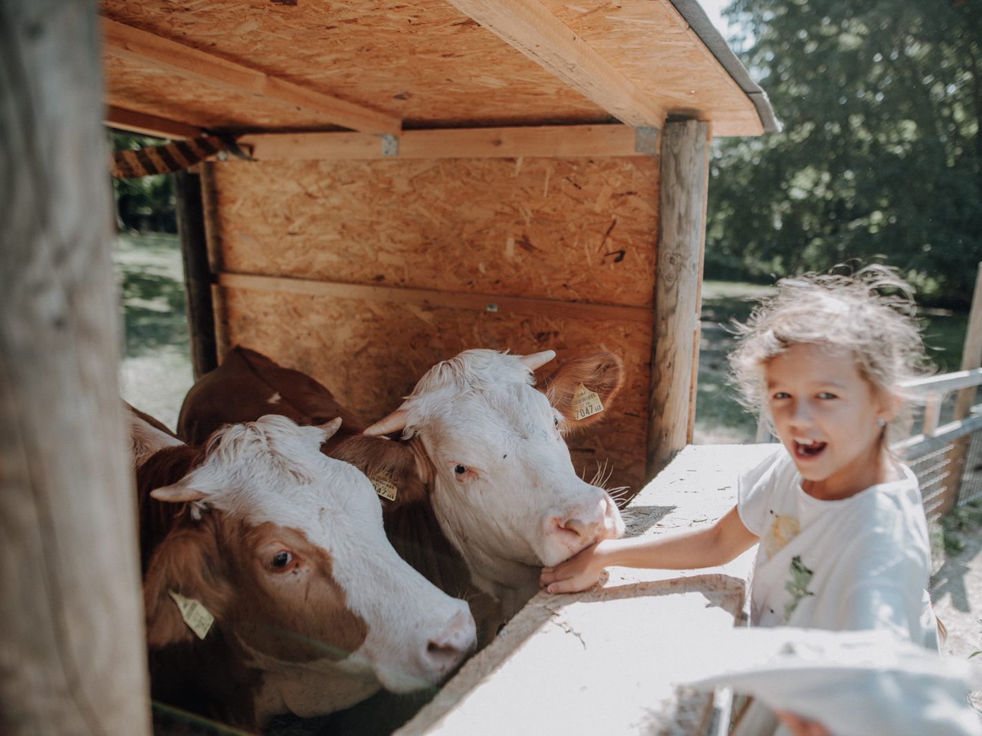Der Kinderbauernhof der Stadt Wien ist wieder geöffnet.