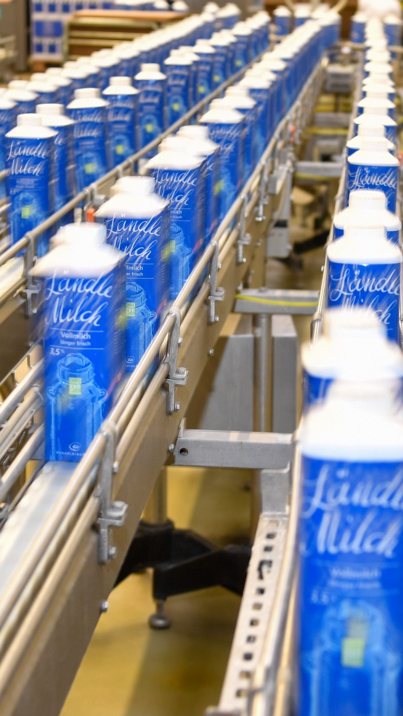 Vorarlberg Milch nimmt die Abnahmebeschränkung zurück.