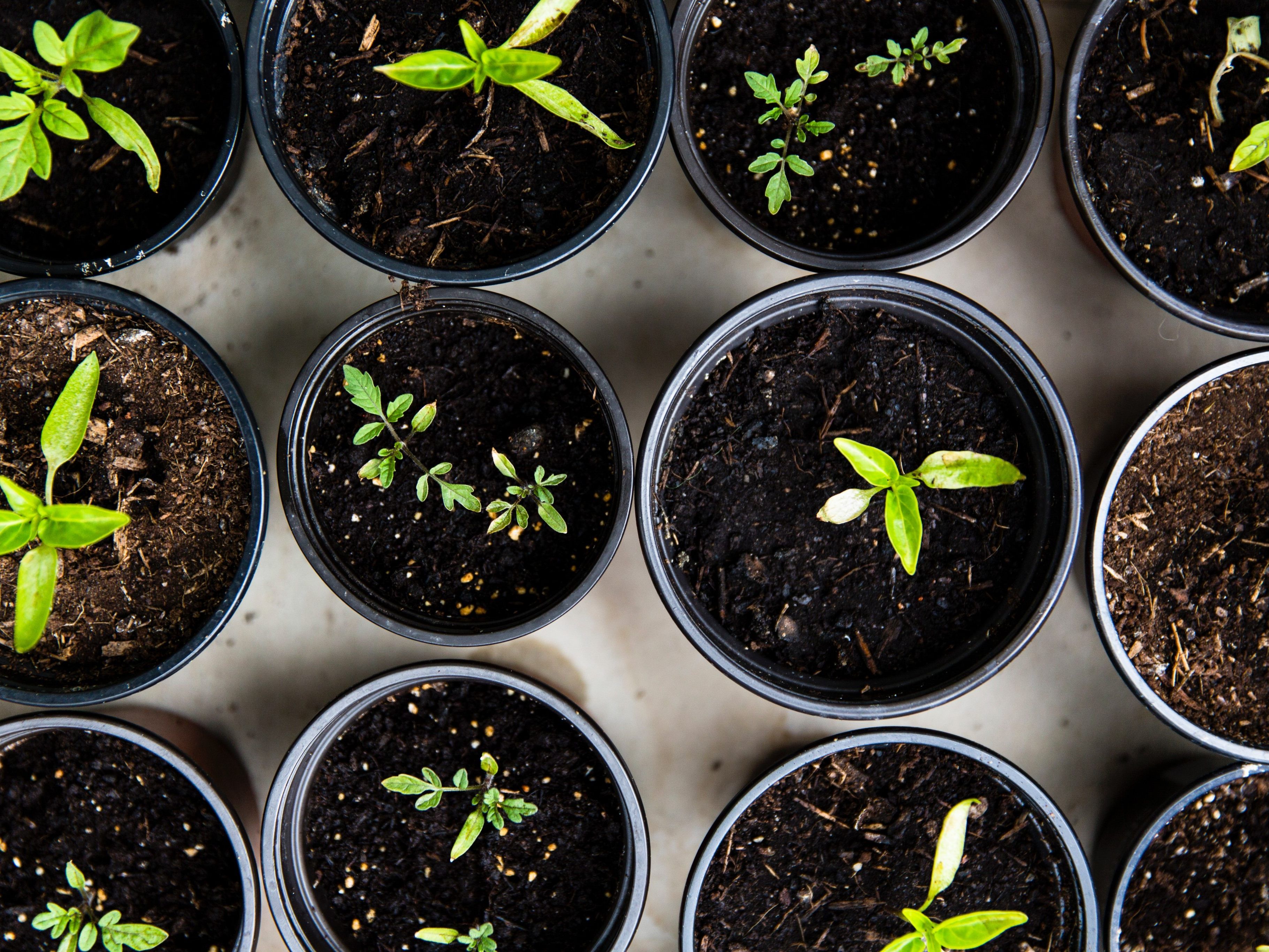 Tolle Tipps für Haus und Garten.