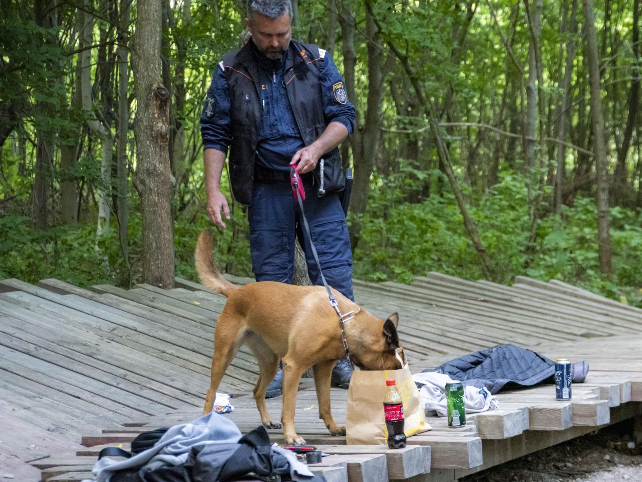 Im Rahmen des Schwerpunkts auf der Donauinsel wurden zahlreiche Kontrollen durchgeführt. Im Rahmen des Schwerpunkts auf der Donauinsel wurden zahlreiche Kontrollen durchgeführt.