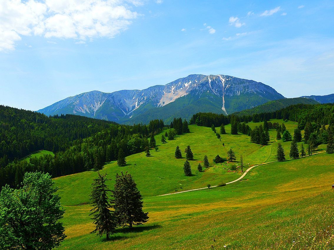 Natur, Kultur und Kulinarik als Schwerpunkte in Niederösterreich.