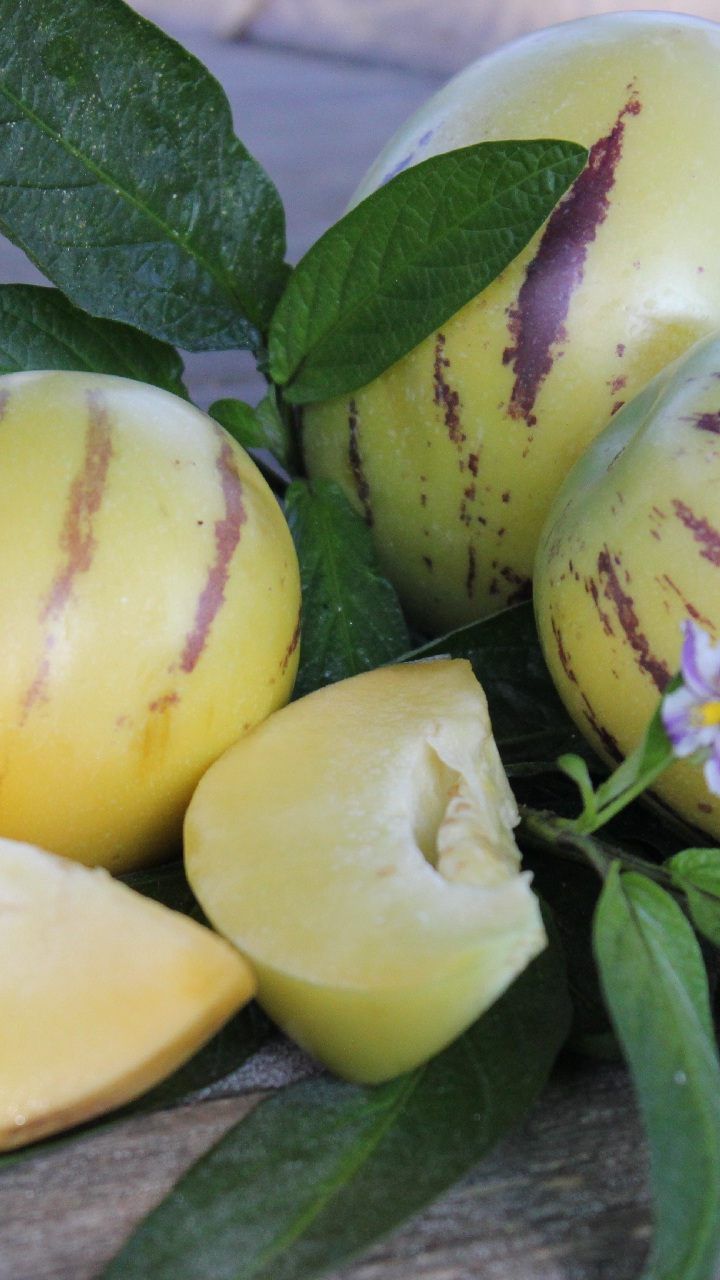 Die Frostgefahr ist üblicherweise Mitte Mai vorüber. Nun kann die Pflanzzeit für Wärme liebendes Gemüse beginnen.