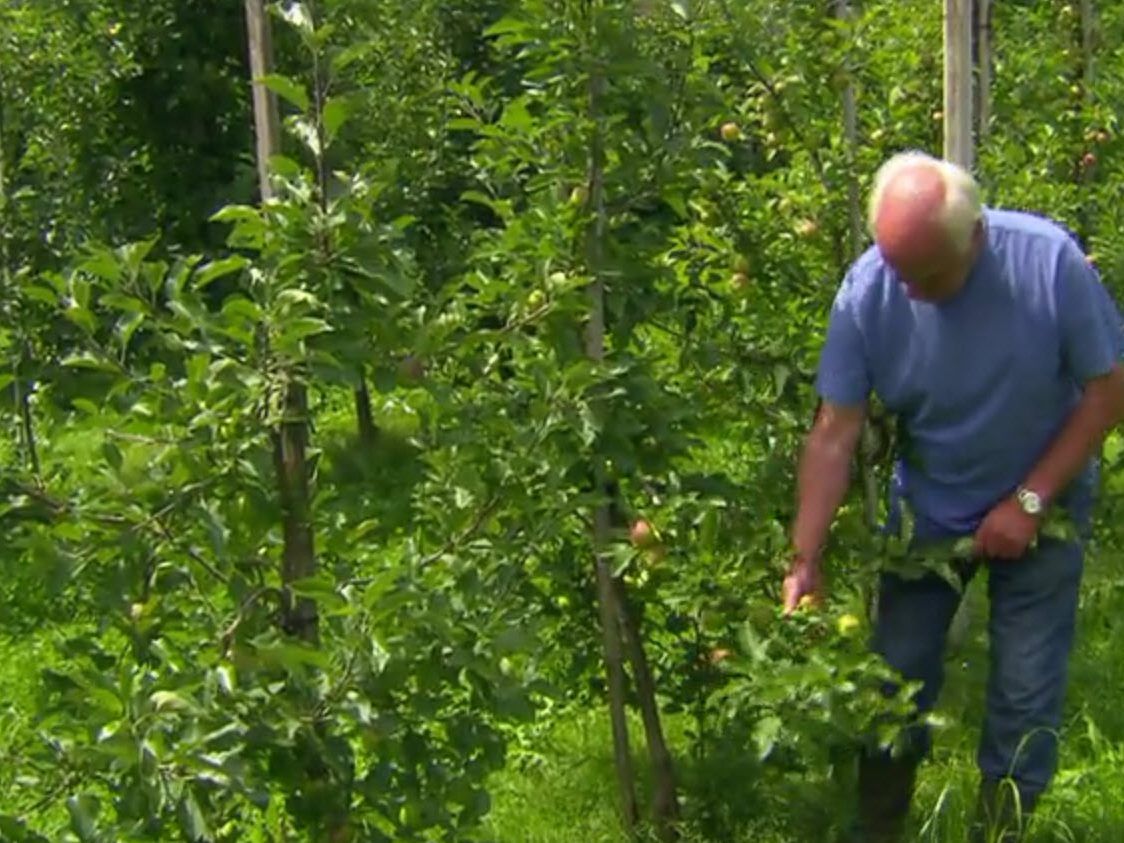 Verlust teilweise bis zu 100 Prozent