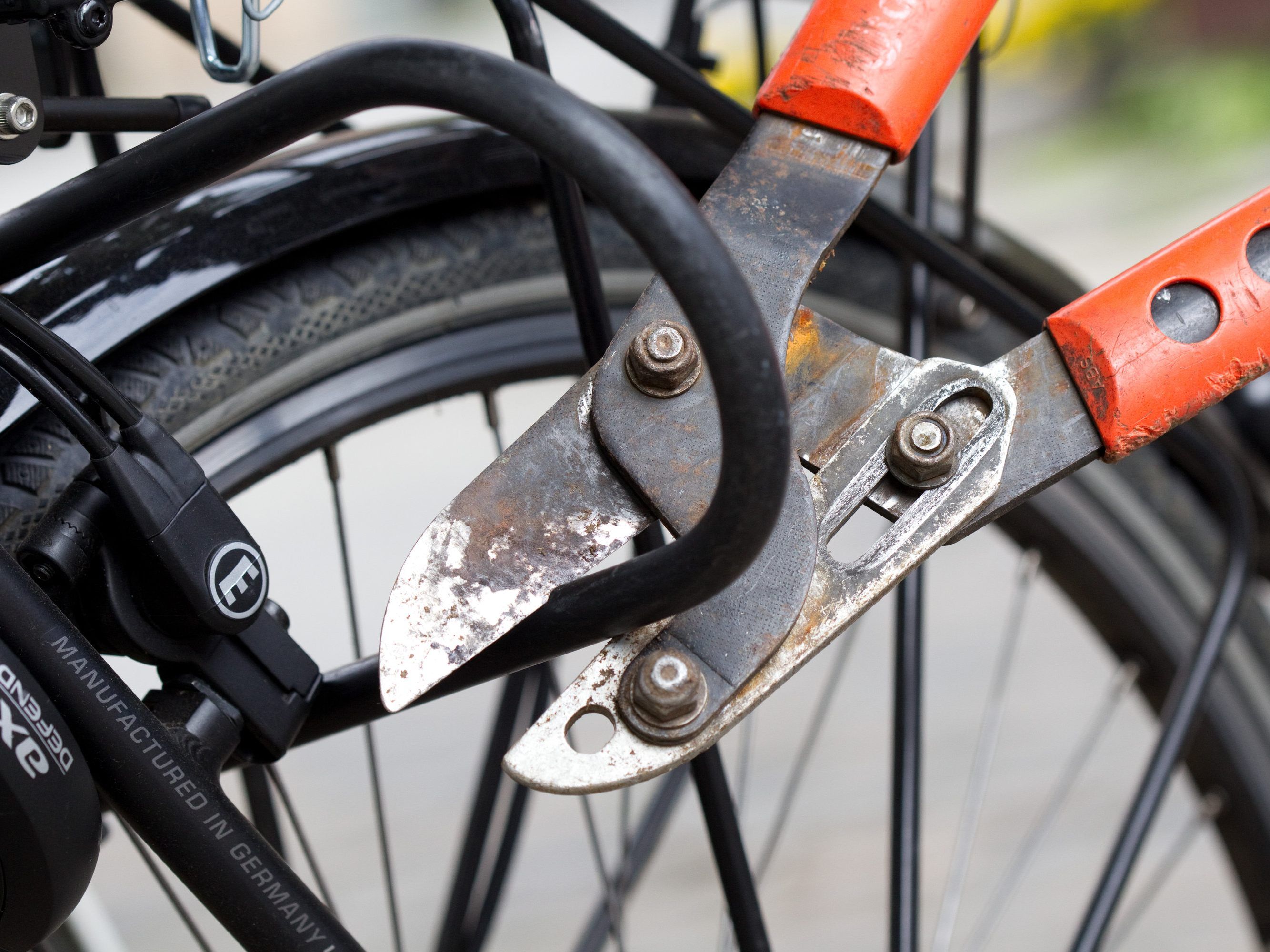 Der Fahrrad-Dieb wurde auf frischer Tat ertappt.