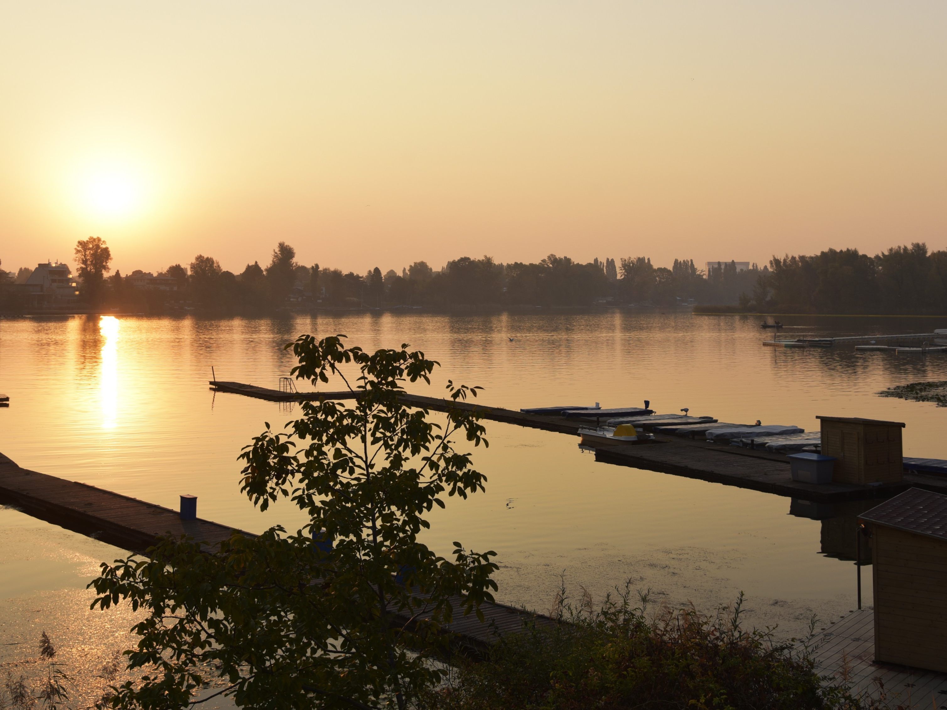 Zum Abschluss der Wienwoche gibt es im Wiener Ruderclub Pirat eine "schwimmende Manifestation auf den Gewässern der Alten Donau".