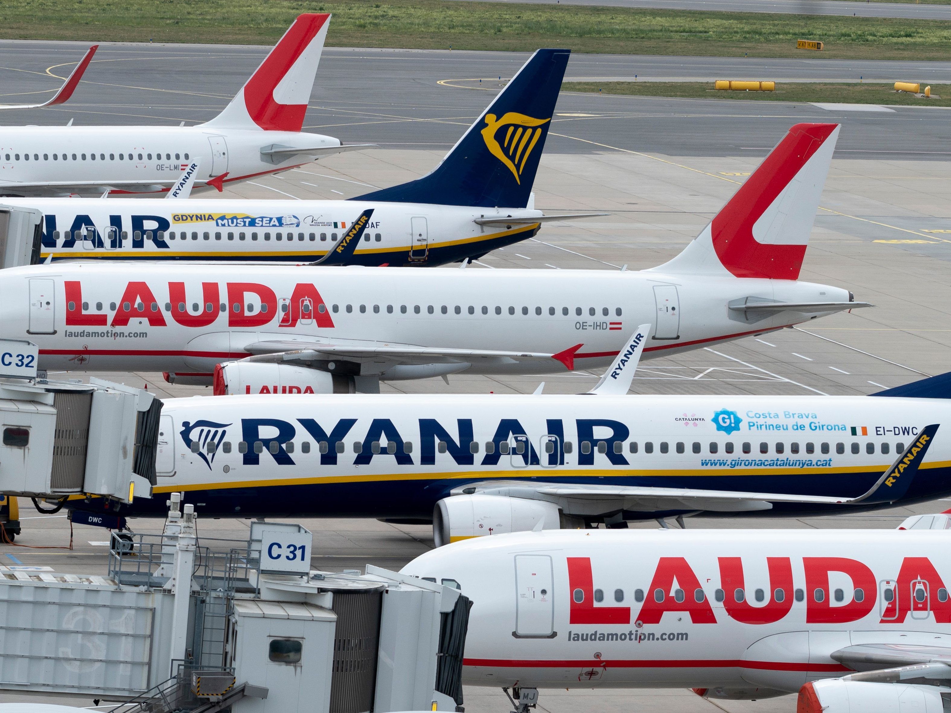Steht die Marke Lauda vor dem Aus?