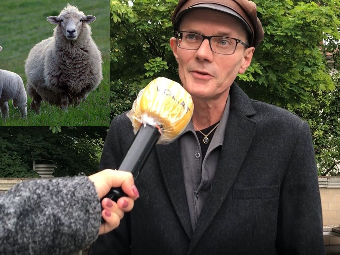 Günter Scheibenreif erklärt die Schafskälte