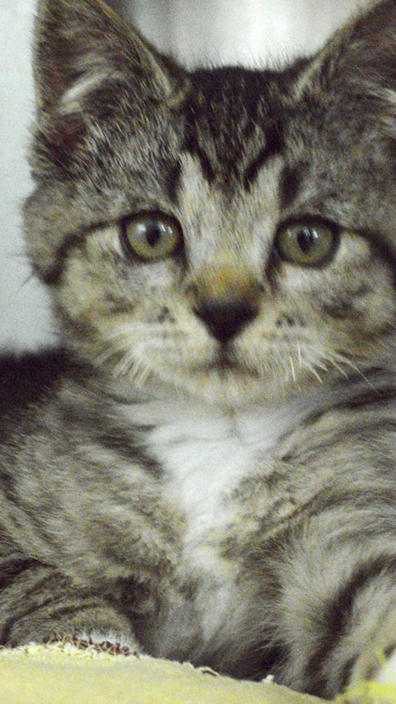 "Once" führt eine Anti-Sexismus-Funktion auf seiner Dating-Plattform ein.