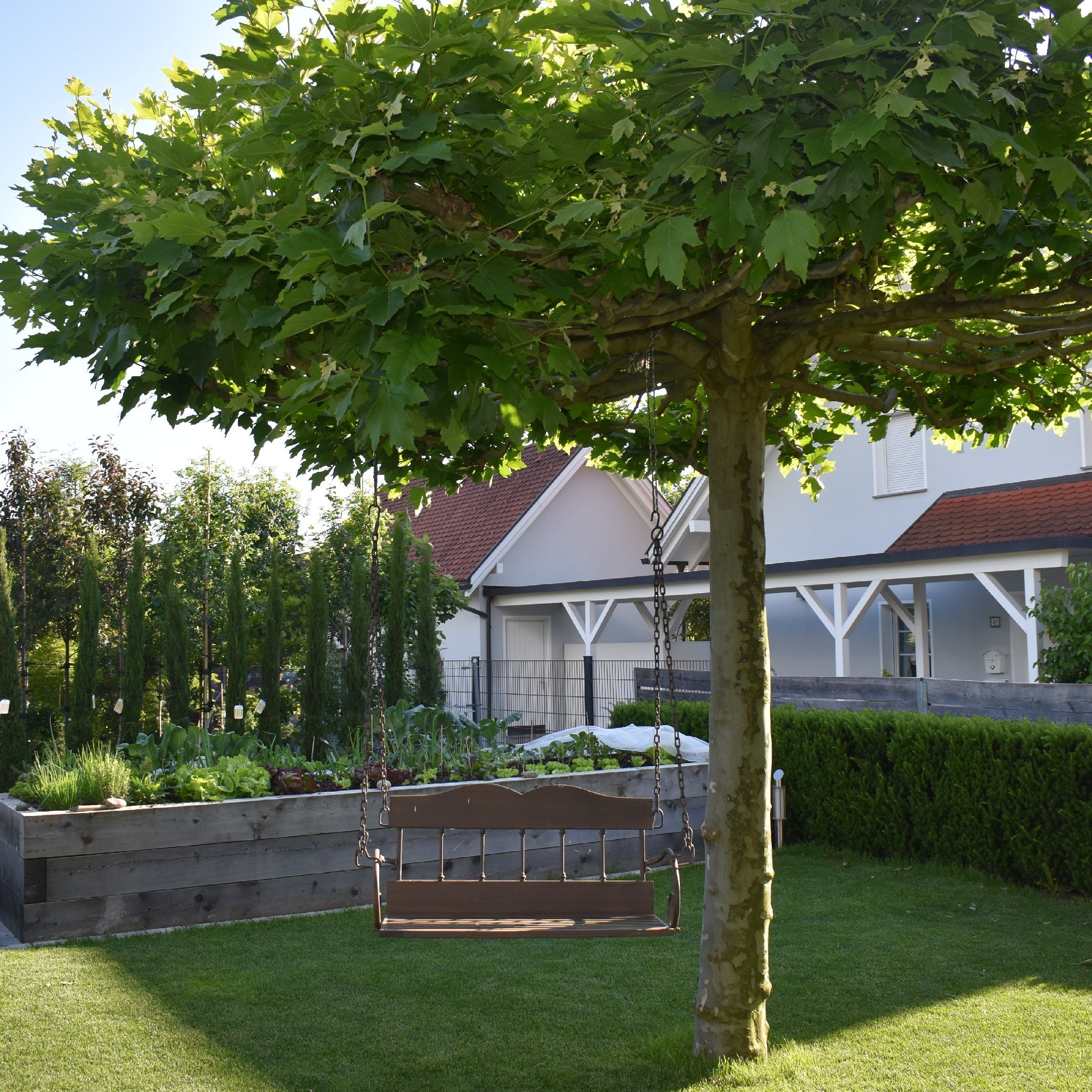 Bei pflanzlichen Schattenspendern sollte auf klein bleibende Bäume gesetzt werden.