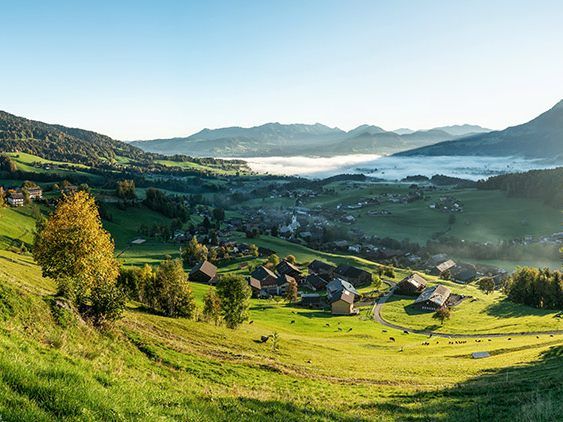 © Manfred Oberhauser © Manfred Oberhauser