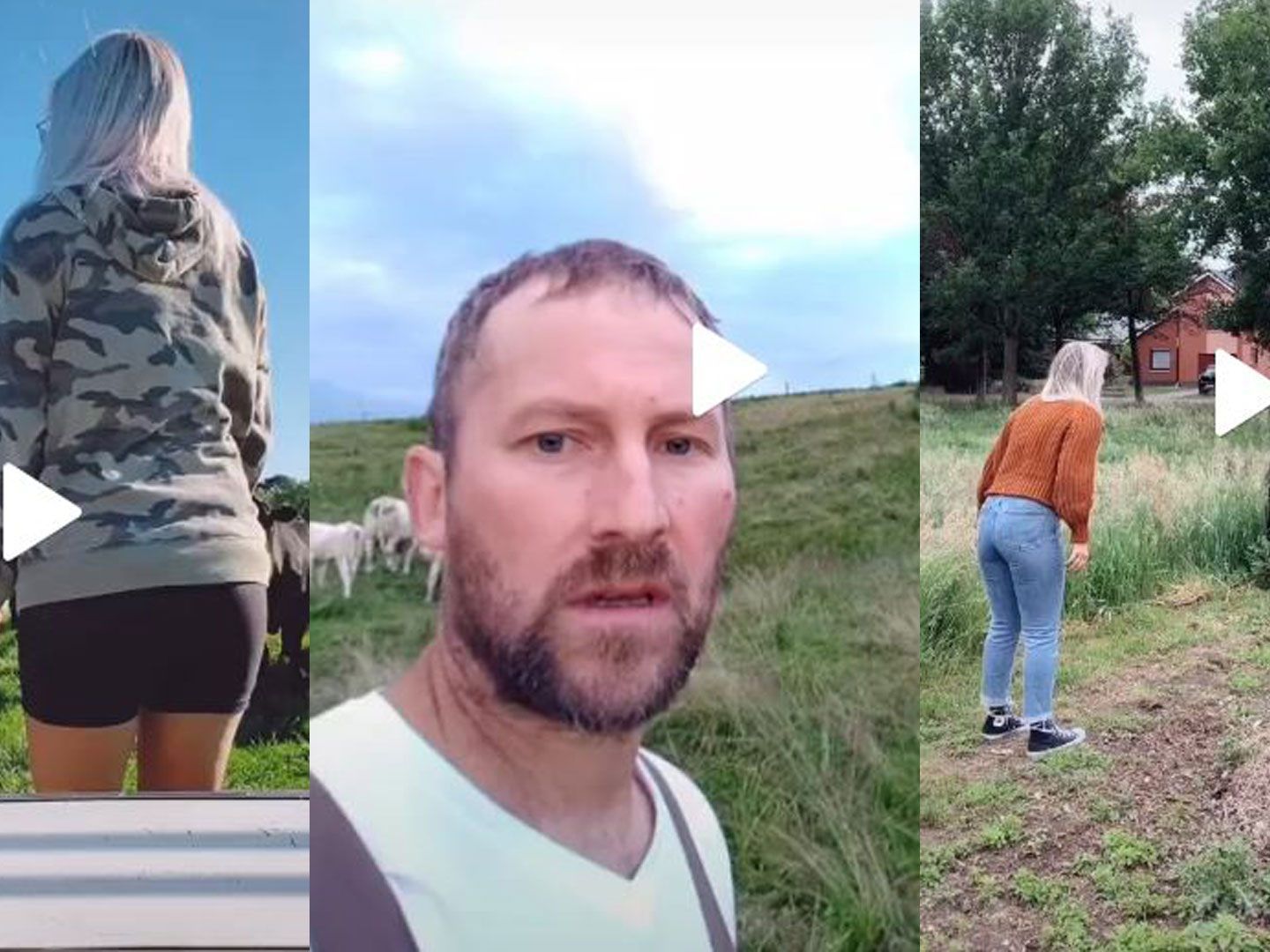 Die neue #scareacowchallenge sorgt für Kopfschütteln. Die neue #scareacowchallenge sorgt für Kopfschütteln.