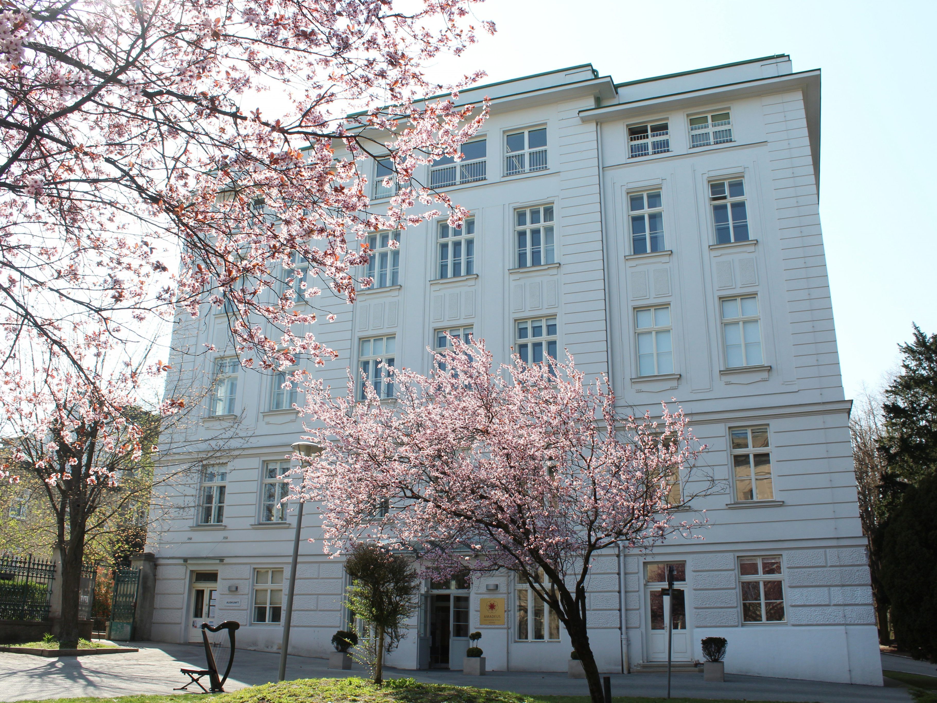 Die Amadeus International School Vienna organisiert die Veranstaltung.