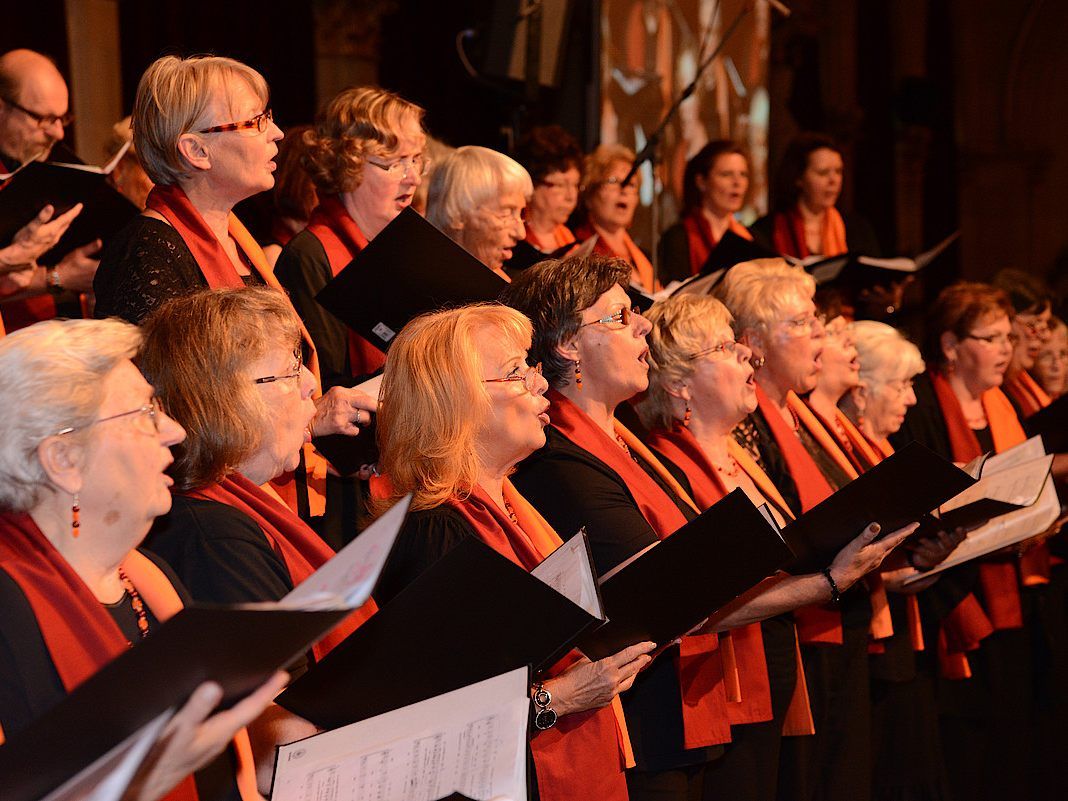 Der Wiener Gemeindebauchor geht auf Tournee.