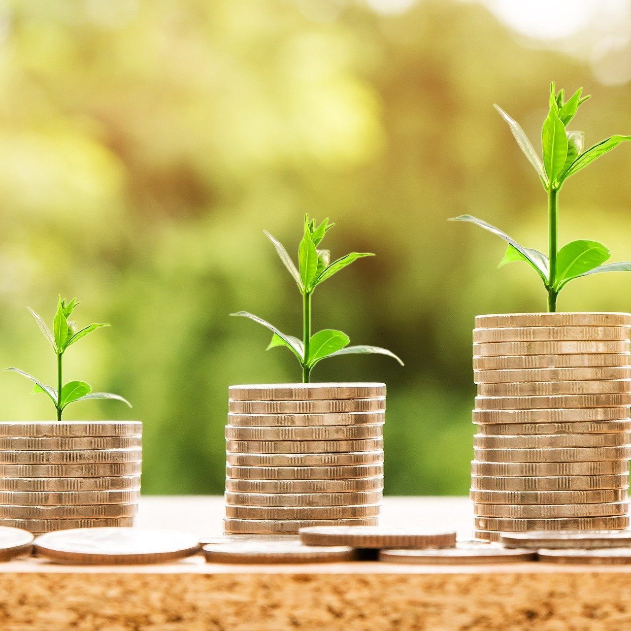 Die Liquidität der Betriebe verbessert sich leicht.