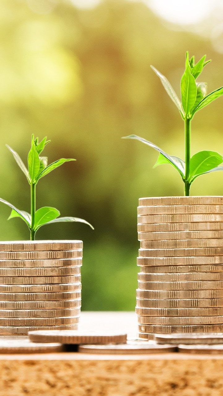 Die Liquidität der Betriebe verbessert sich leicht.