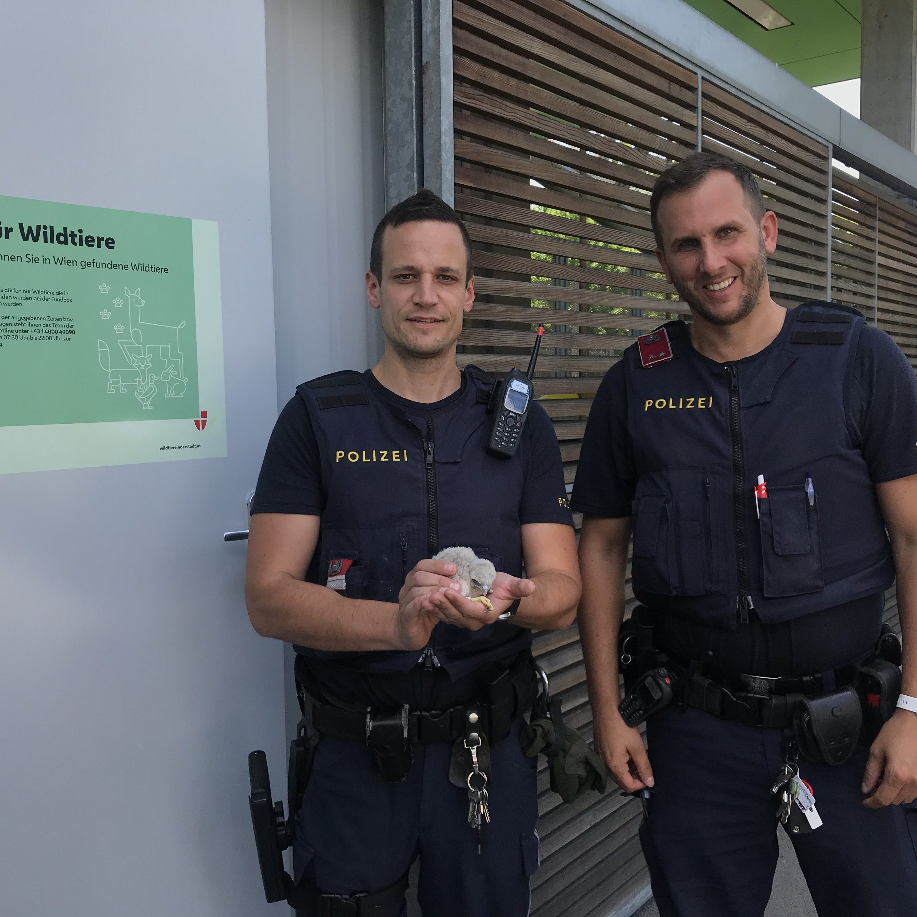 Die Polizisten mit dem gefundenen Küken, um das sie sich kümmerten