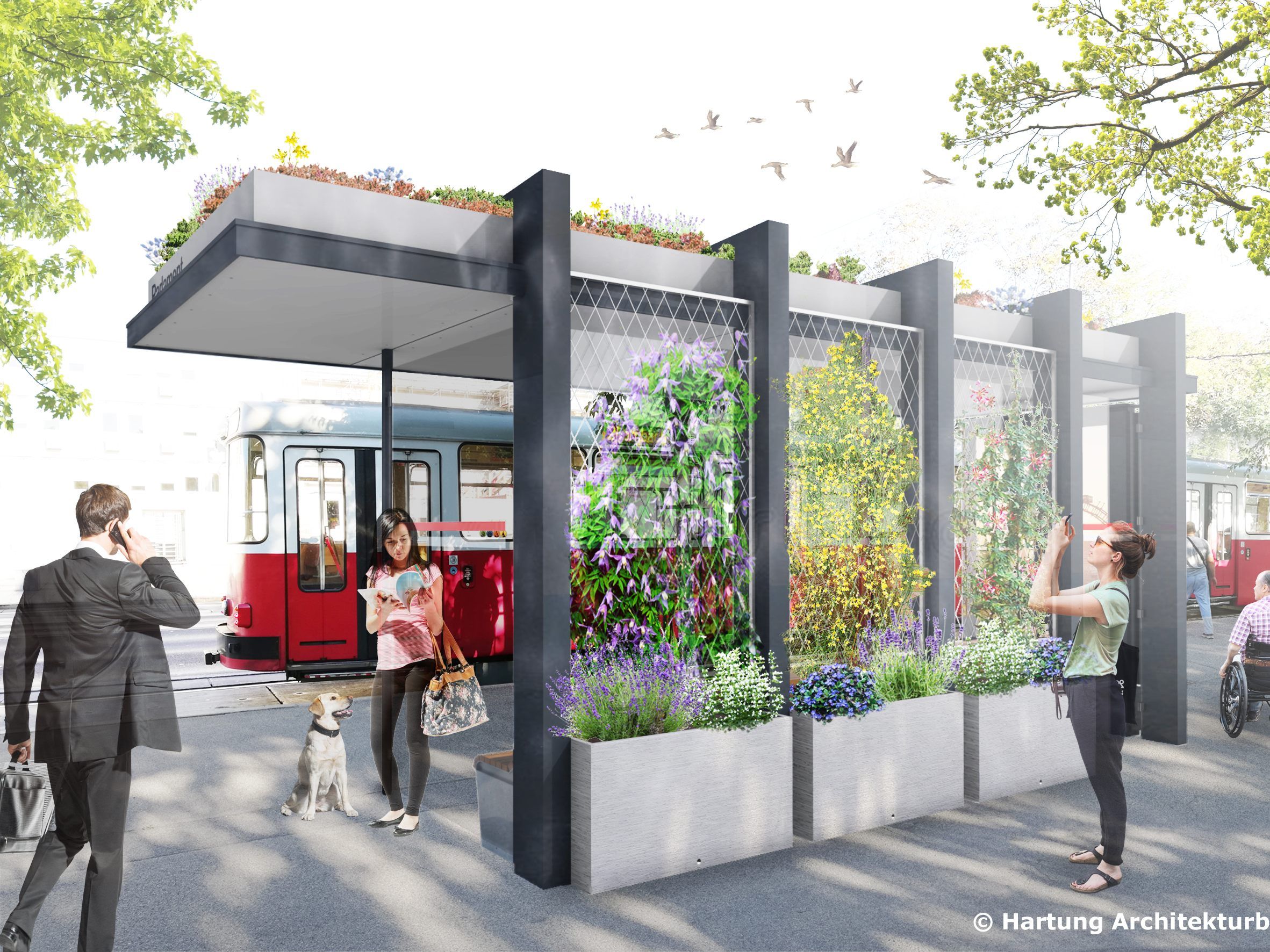 Eine Idee aus der Markterkundung wird umgesetzt: Die Wiener Linien testen ein neues, schattenspendendes Wartehaus beim Parlament Eine Idee aus der Markterkundung wird umgesetzt: Die Wiener Linien testen ein neues, schattenspendendes Wartehaus beim Parlament
