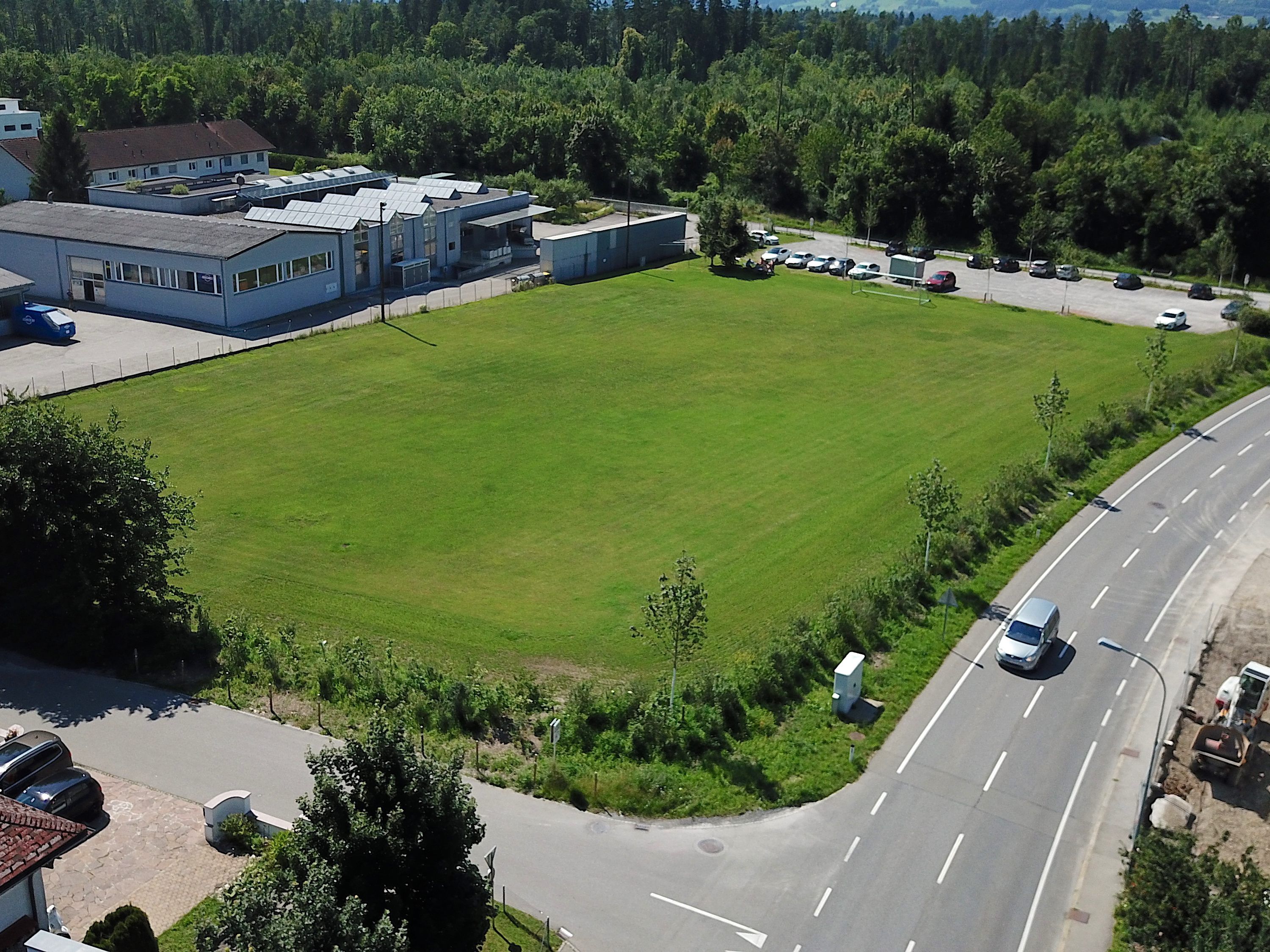 Rund um den Sportplatz Rüttenenstraße wurden neue Bäume gepflanzt.