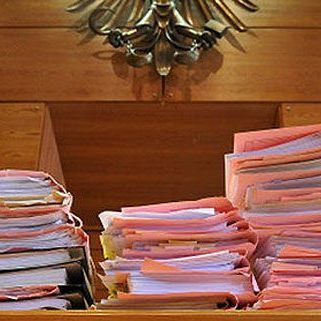 Der 58-jährige Wiener wurde wegen Tierquälerei verurteilt.