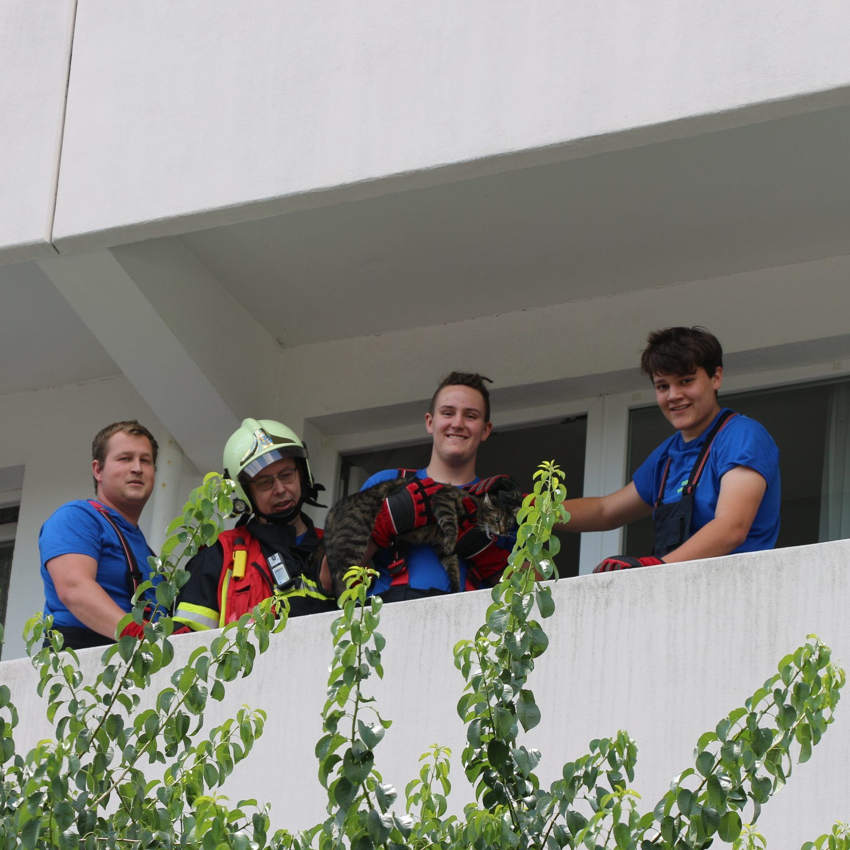 Kater "Ruffy" wurde von den Florianijüngern aus seiner Notlage in einem gekippten Fenster gerettet