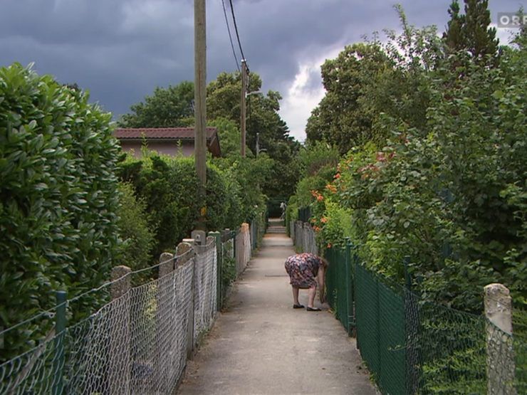 Im Kleingartenverein auf der Schmelz ist man über die Öffnung der Wege besorgt. Im Kleingartenverein auf der Schmelz ist man über die Öffnung der Wege besorgt.