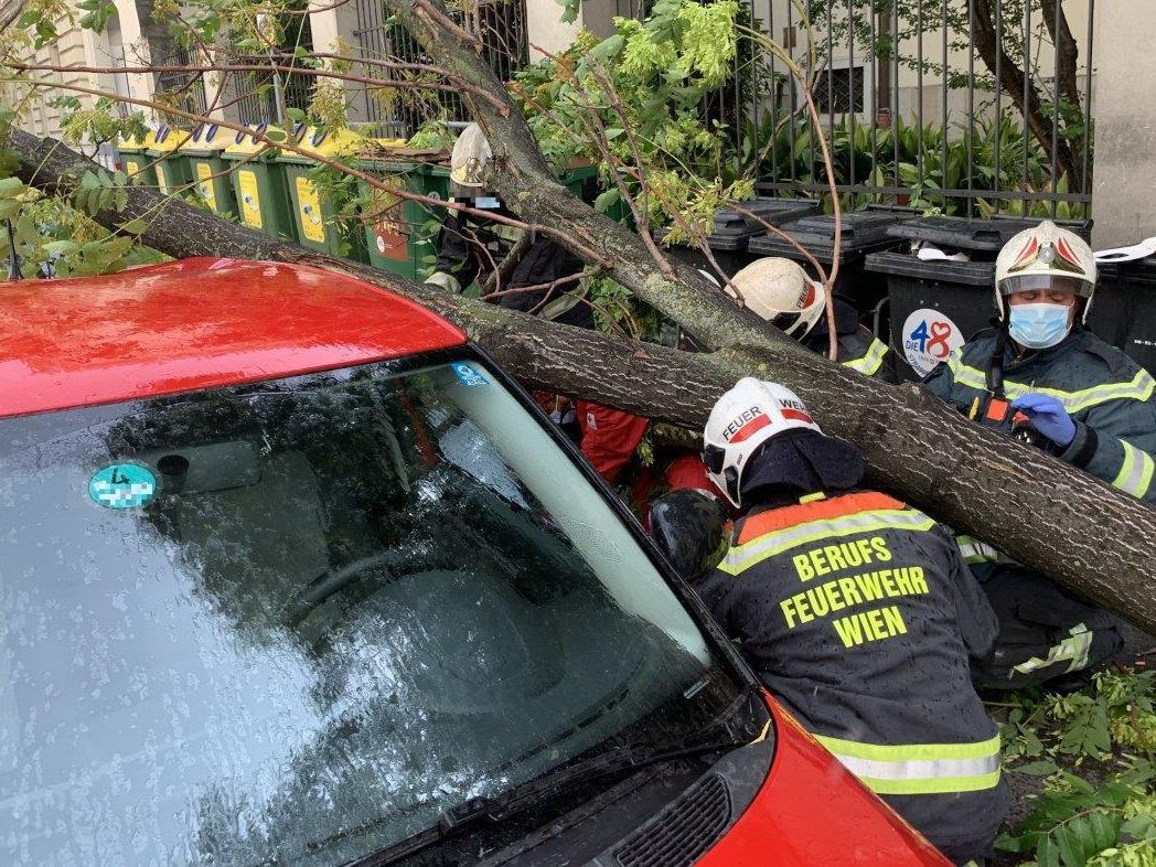 Die Feuerwehr konnten den Fußgänger befreien.