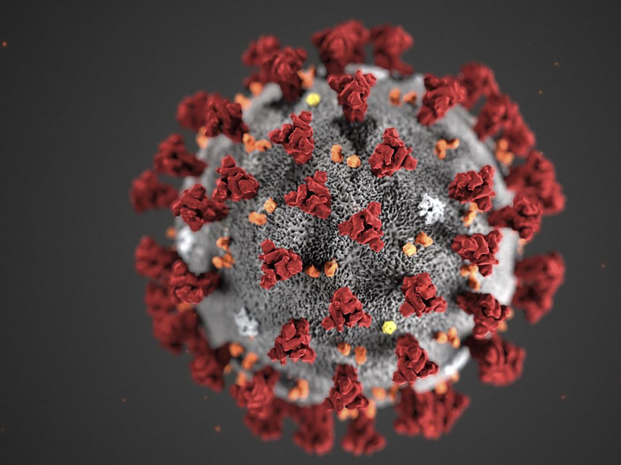 Das Virus soll davon abgehalten werden, sich in Zellen einzunisten. Das Virus soll davon abgehalten werden, sich in Zellen einzunisten.