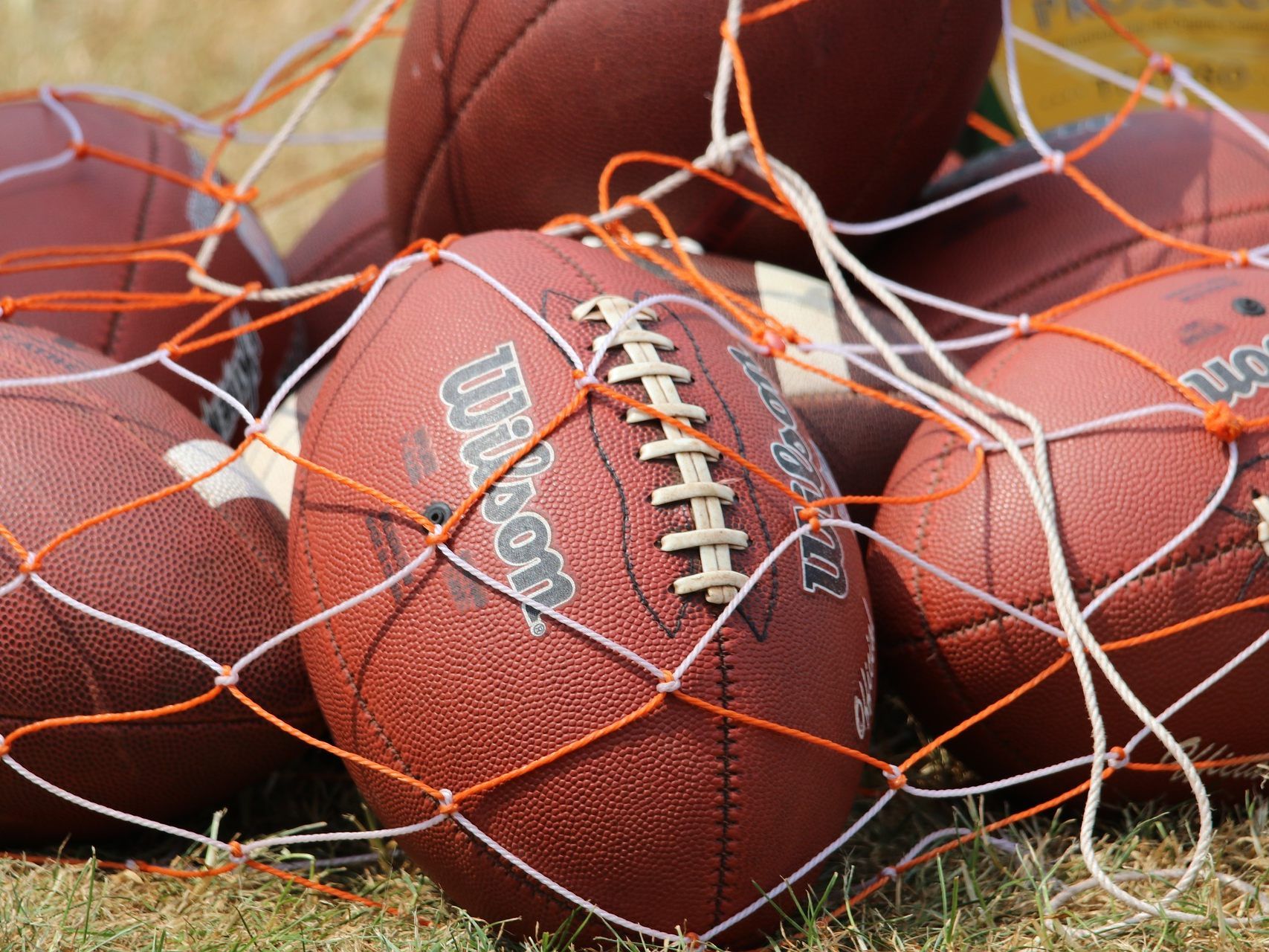 Die AFL startet Anfang September mit vier Teams. Die AFL startet Anfang September mit vier Teams.
