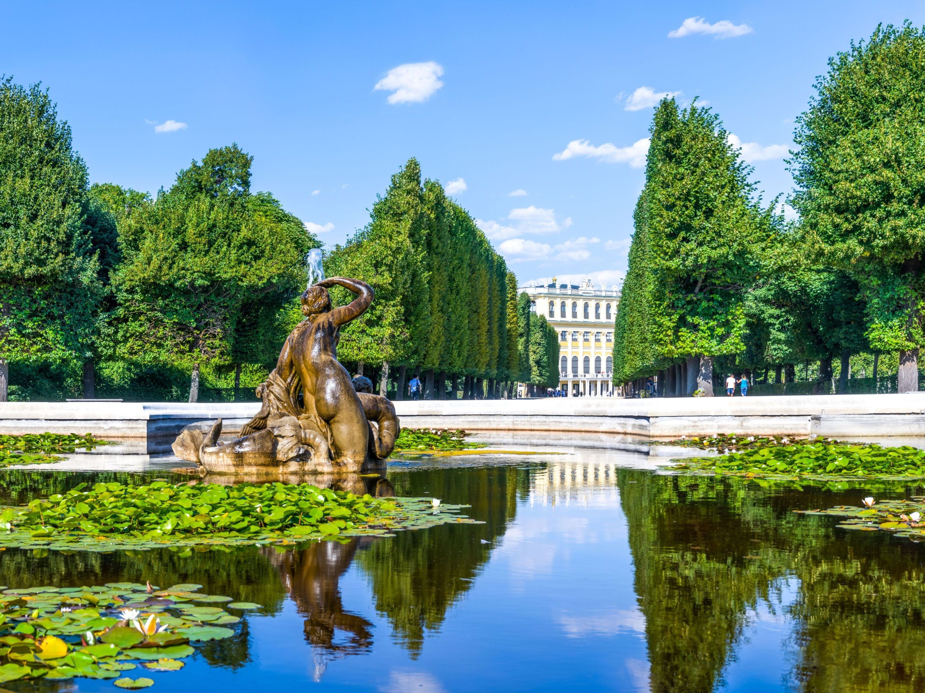 Auch mitten in Wien gibt es einige grüne Plätze. Auch mitten in Wien gibt es einige grüne Plätze.