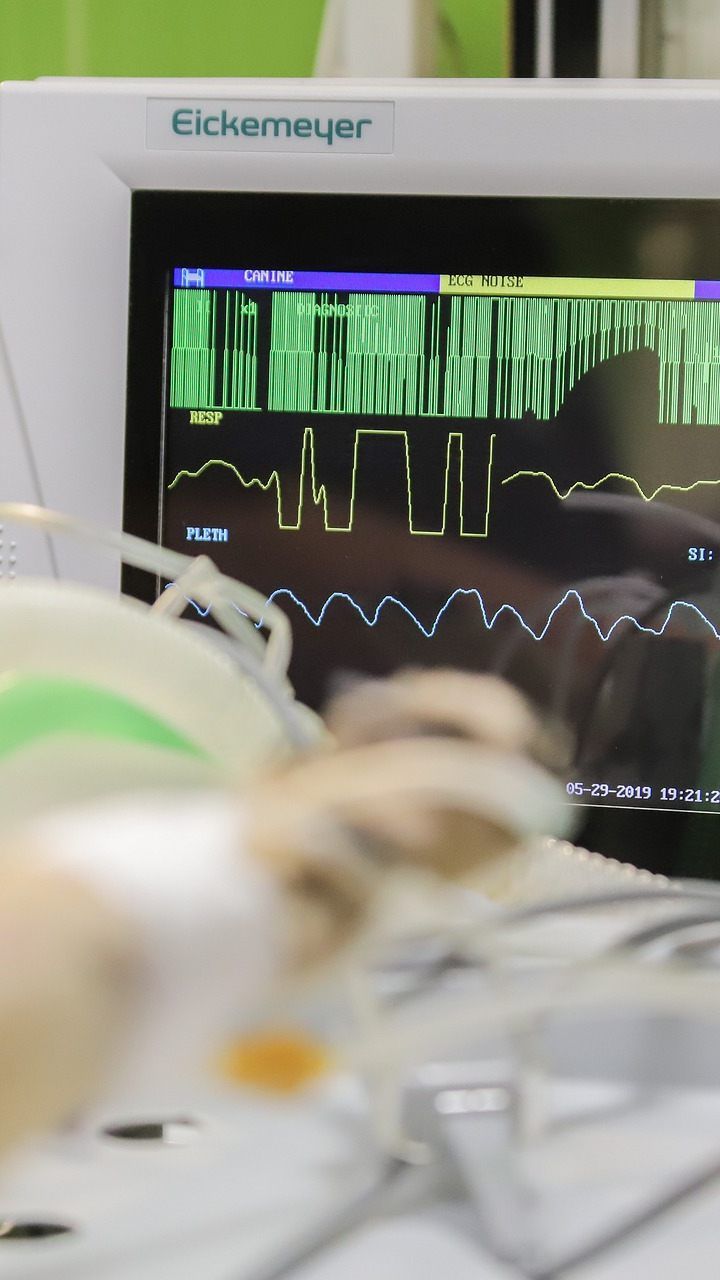 Herz-Kreislauf-Patienten wird angesichts einer weiteren potentiellen Coronavirus-Welle zu einer raschen Kontrolle geraten.