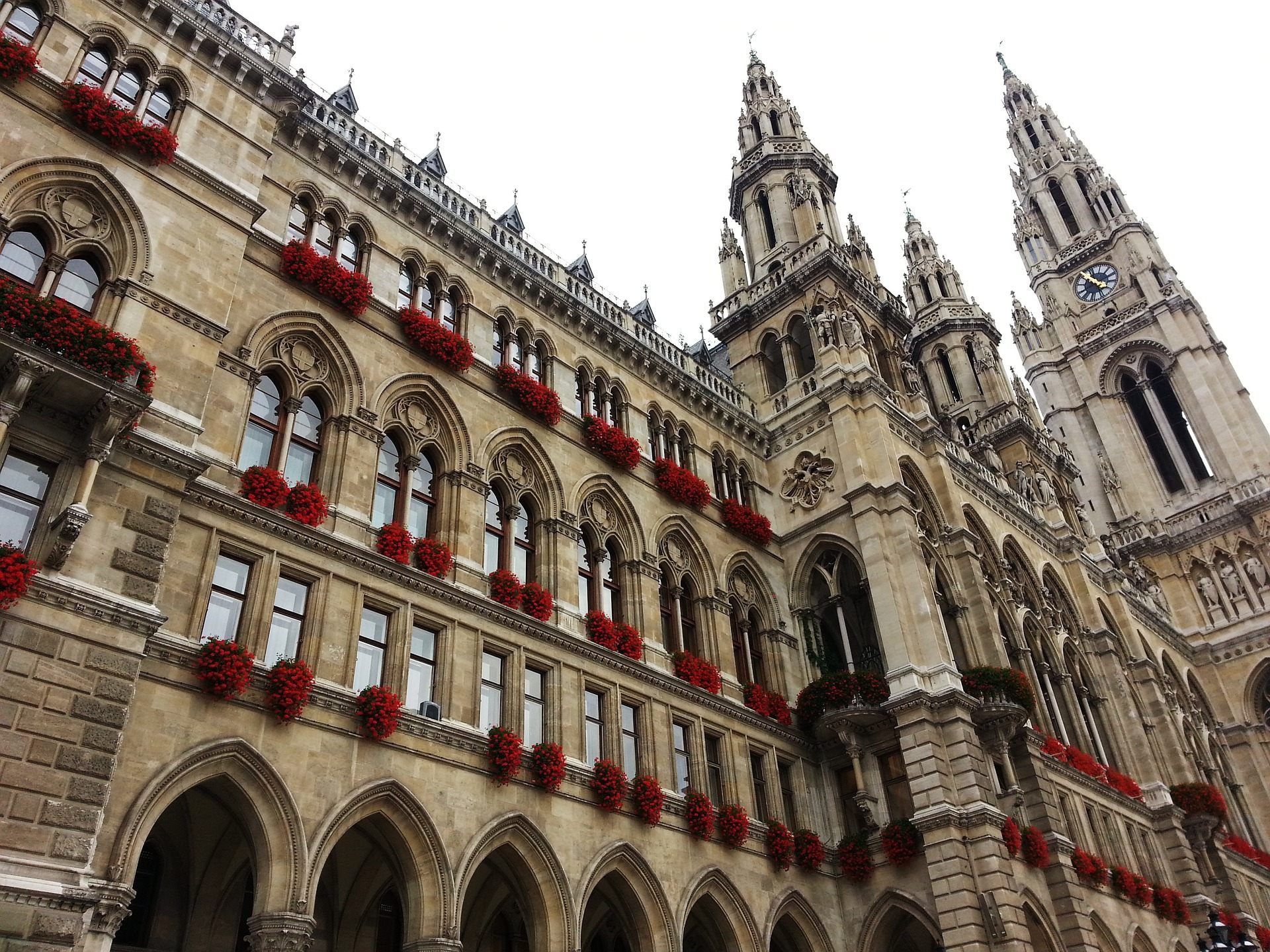 Im Wiener Rathaus dürfte es im Herbst keine Überraschungen geben. Im Wiener Rathaus dürfte es im Herbst keine Überraschungen geben.