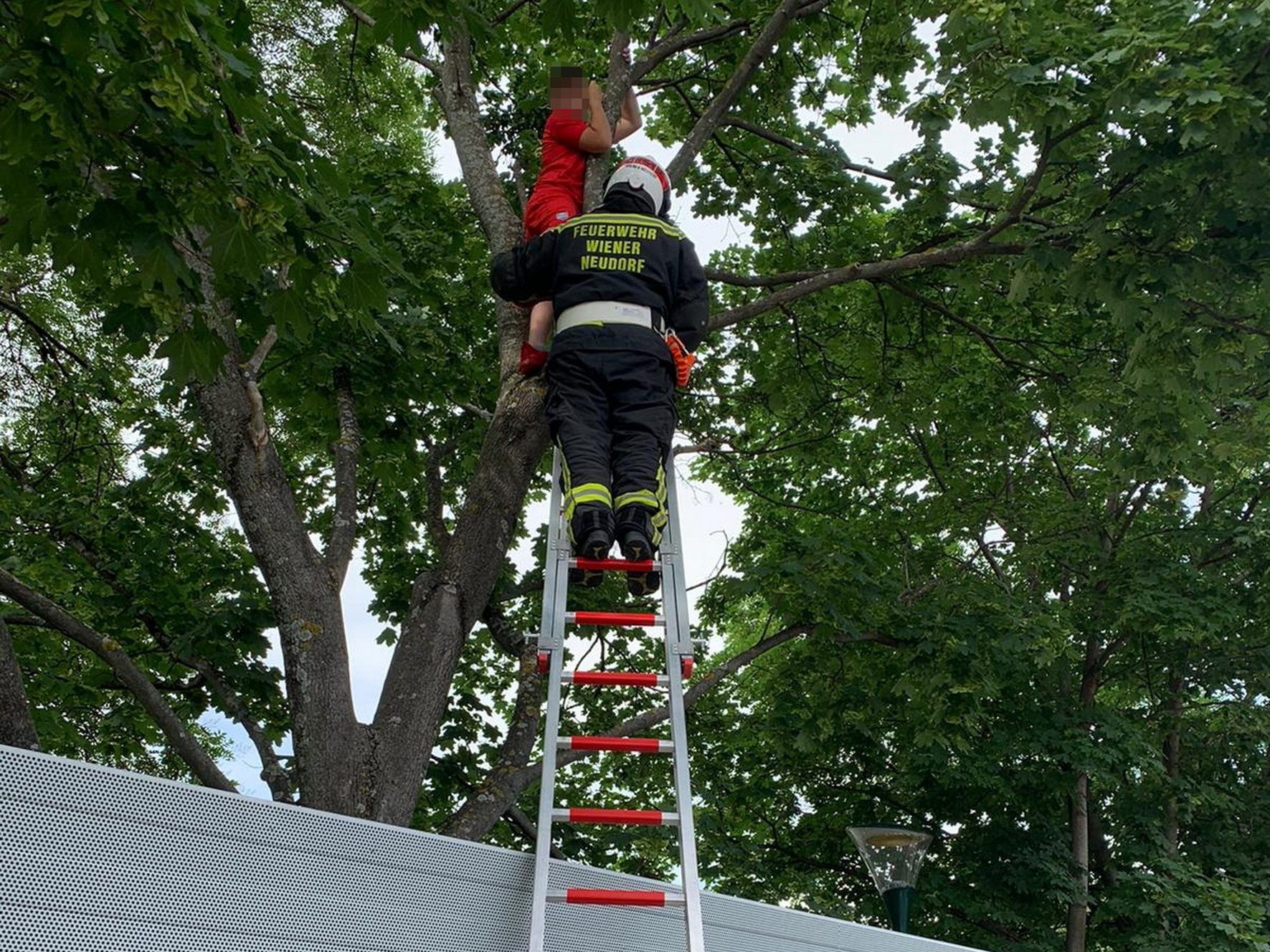 Freunde des Burschen alarmierten die Feuerwehr. Freunde des Burschen alarmierten die Feuerwehr.
