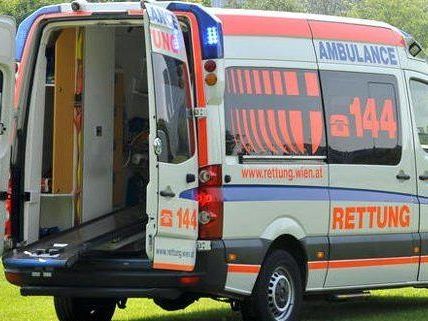 Das Mädchen wurde bei dem Unfall in Wien-Liesing verletzt. Das Mädchen wurde bei dem Unfall in Wien-Liesing verletzt.