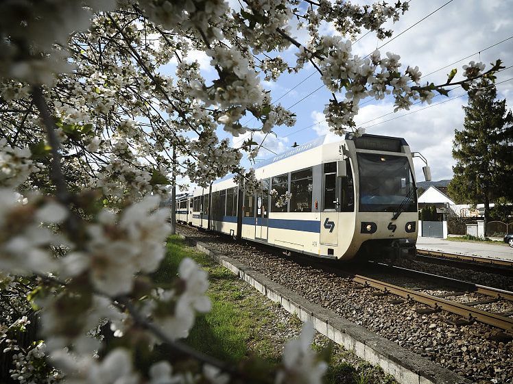 Mit 13,4 Millionen Fahrgästen liegt die Badner Bahn klar auf Platz 1 bei den heimischen Regionalbahnen.