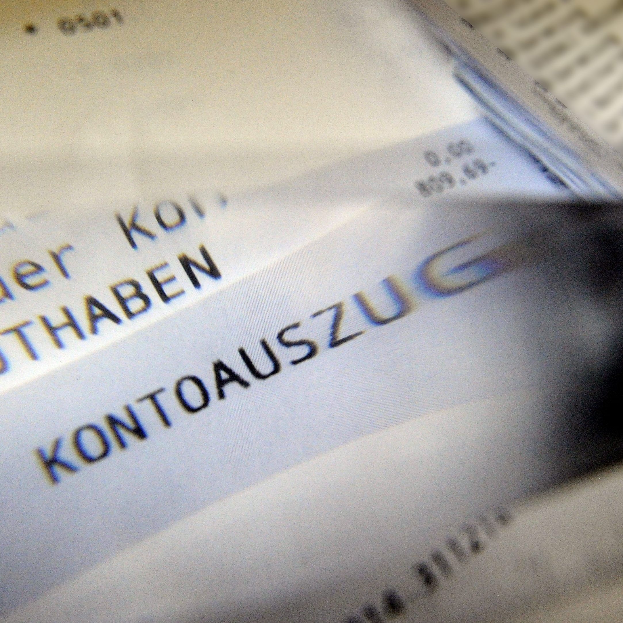 Die Steuerfahndung hat im letzten Jah 561 Fälle bearbeitet.