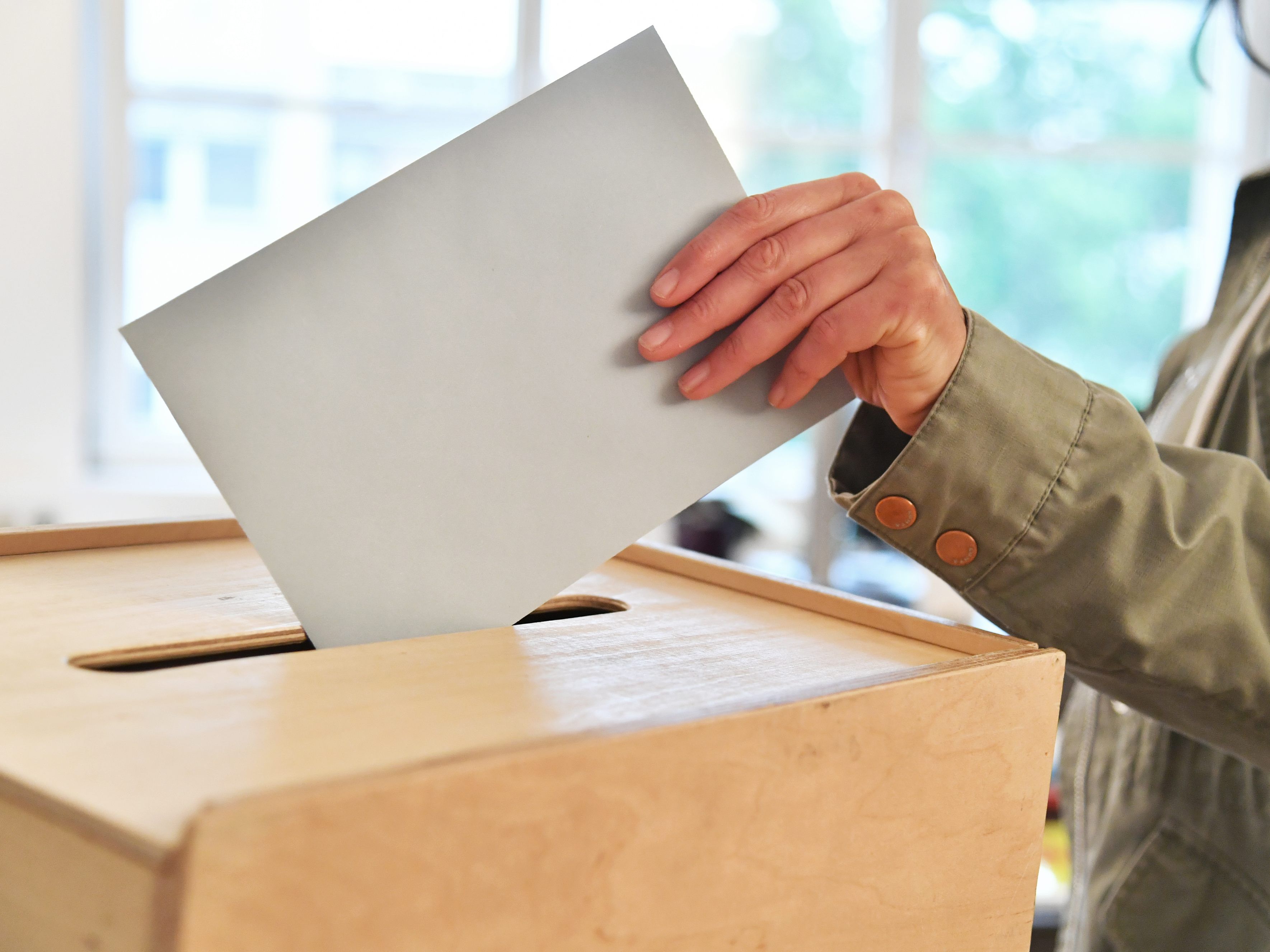 Weöche Kleinpartei schafft es auf den Stimmzettel zur Wien-Wahl 2020? Weöche Kleinpartei schafft es auf den Stimmzettel zur Wien-Wahl 2020?