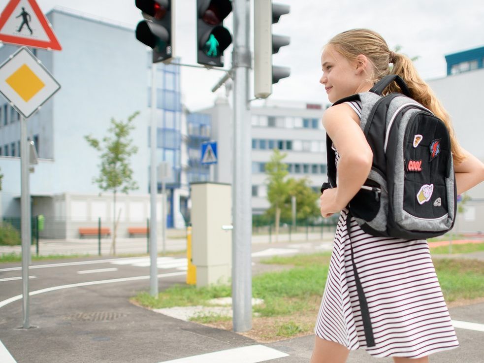 Diese Regeln sind am Schulweg zu beachten. Diese Regeln sind am Schulweg zu beachten.