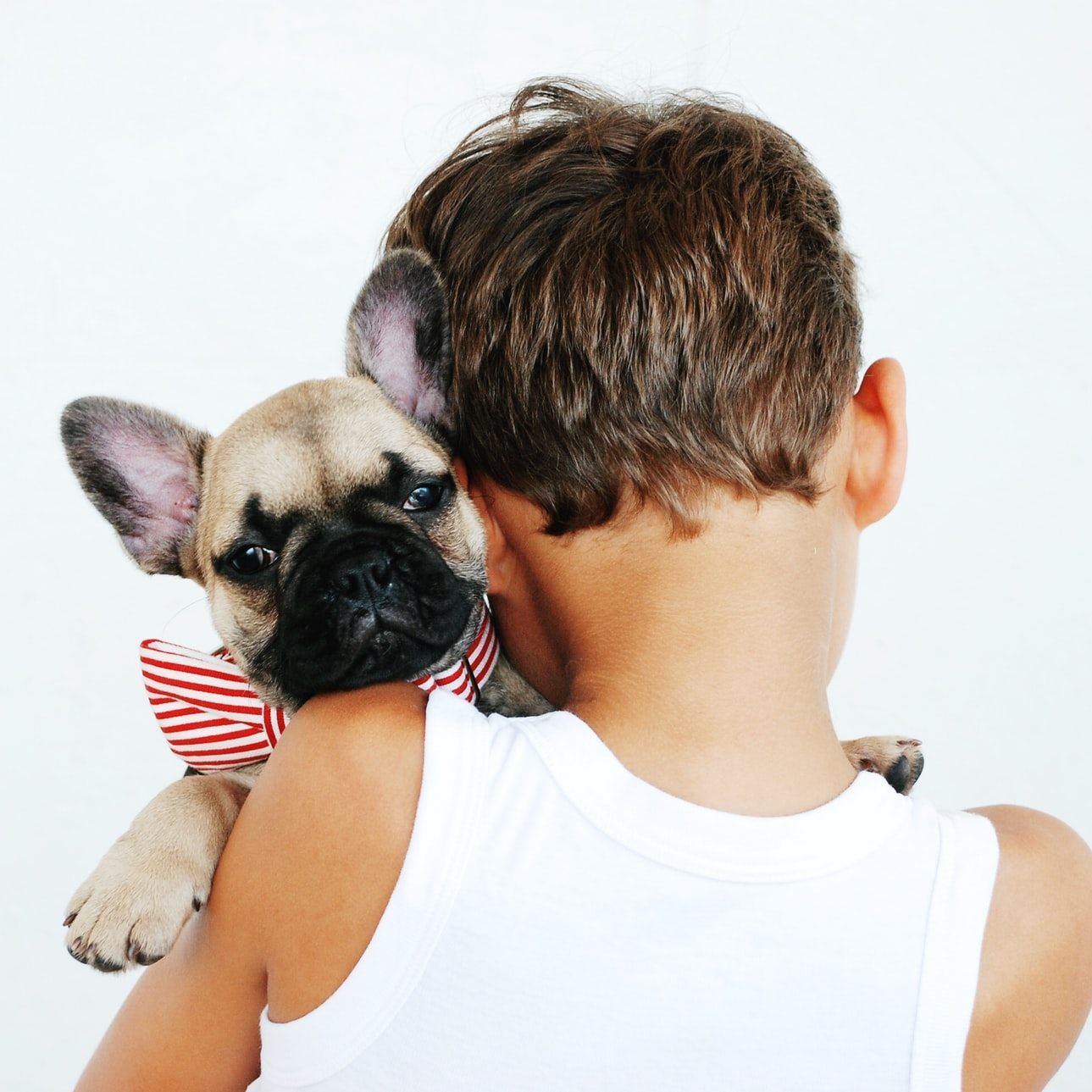 Erwachsene sollten Kleinkinder nicht unbeaufsichtigt mit Vierbeinern spielen lassen.