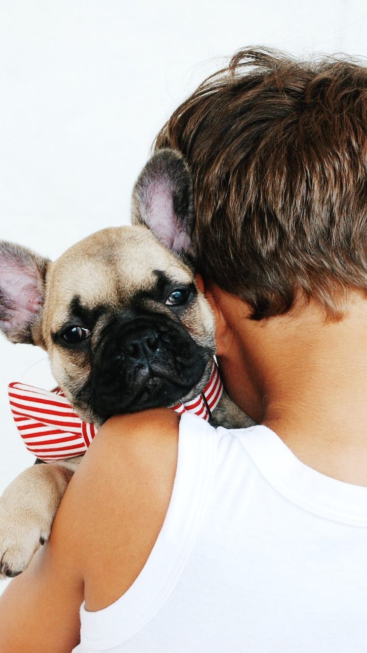 Erwachsene sollten Kleinkinder nicht unbeaufsichtigt mit Vierbeinern spielen lassen.