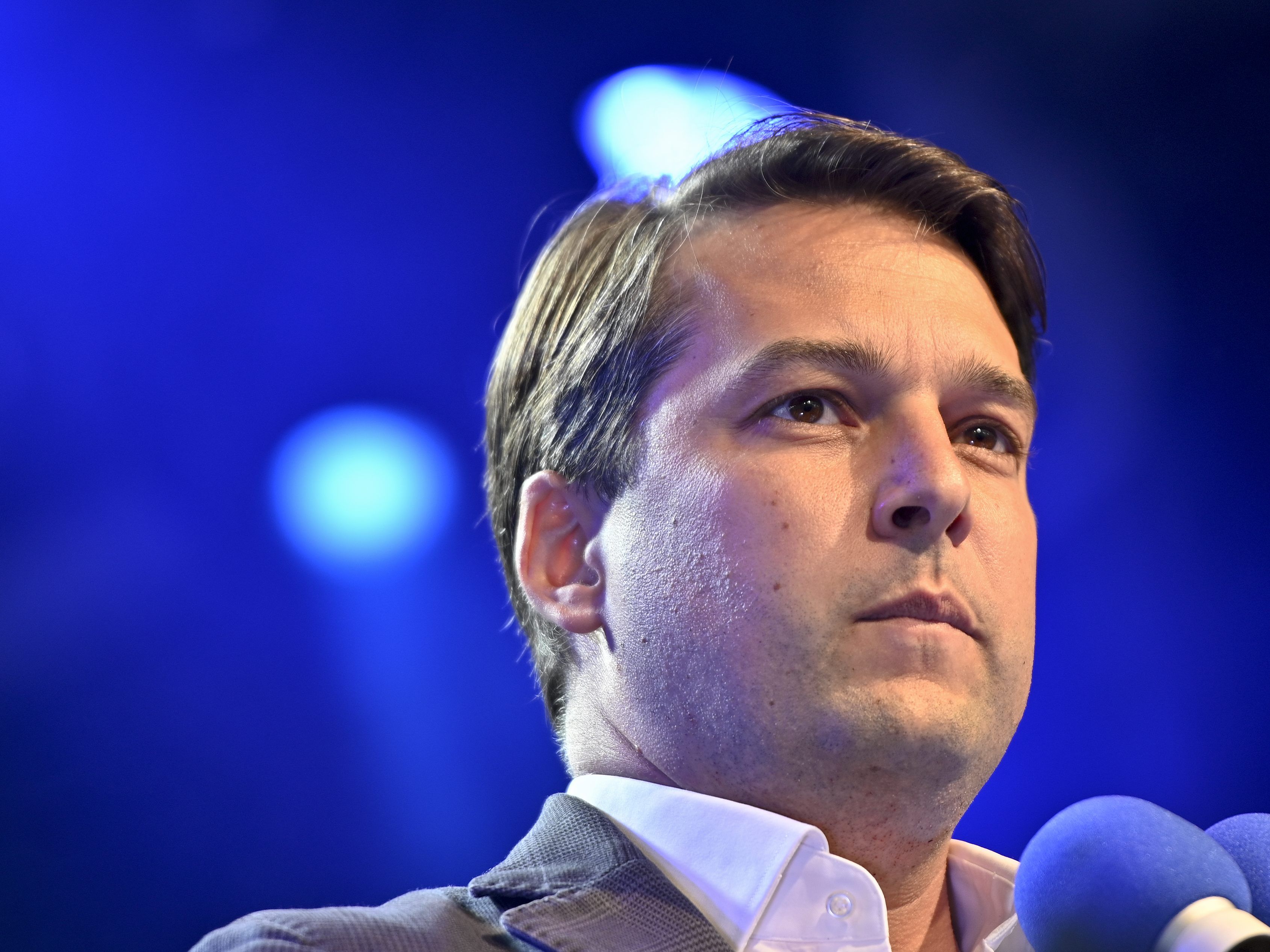 Die FPÖ stellt drei der vier nicht amtsführenden Stadträte, darunter auch den Vizebürgermeister. Die FPÖ stellt drei der vier nicht amtsführenden Stadträte, darunter auch den Vizebürgermeister.