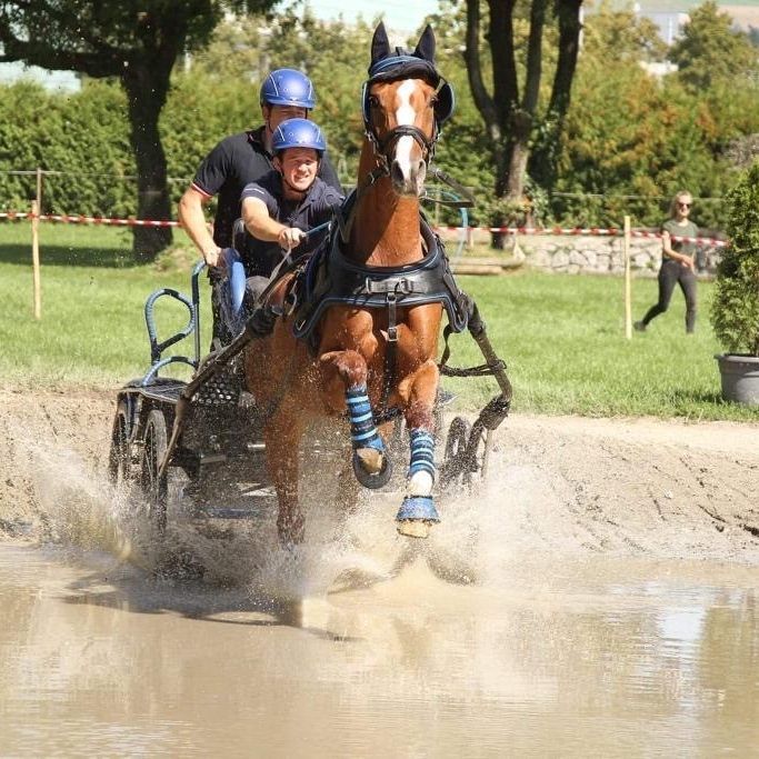 Alexander Bösch mit Beifahrer Patrick Bösch haben im Kutschenfahren in Frankreich überzeugt