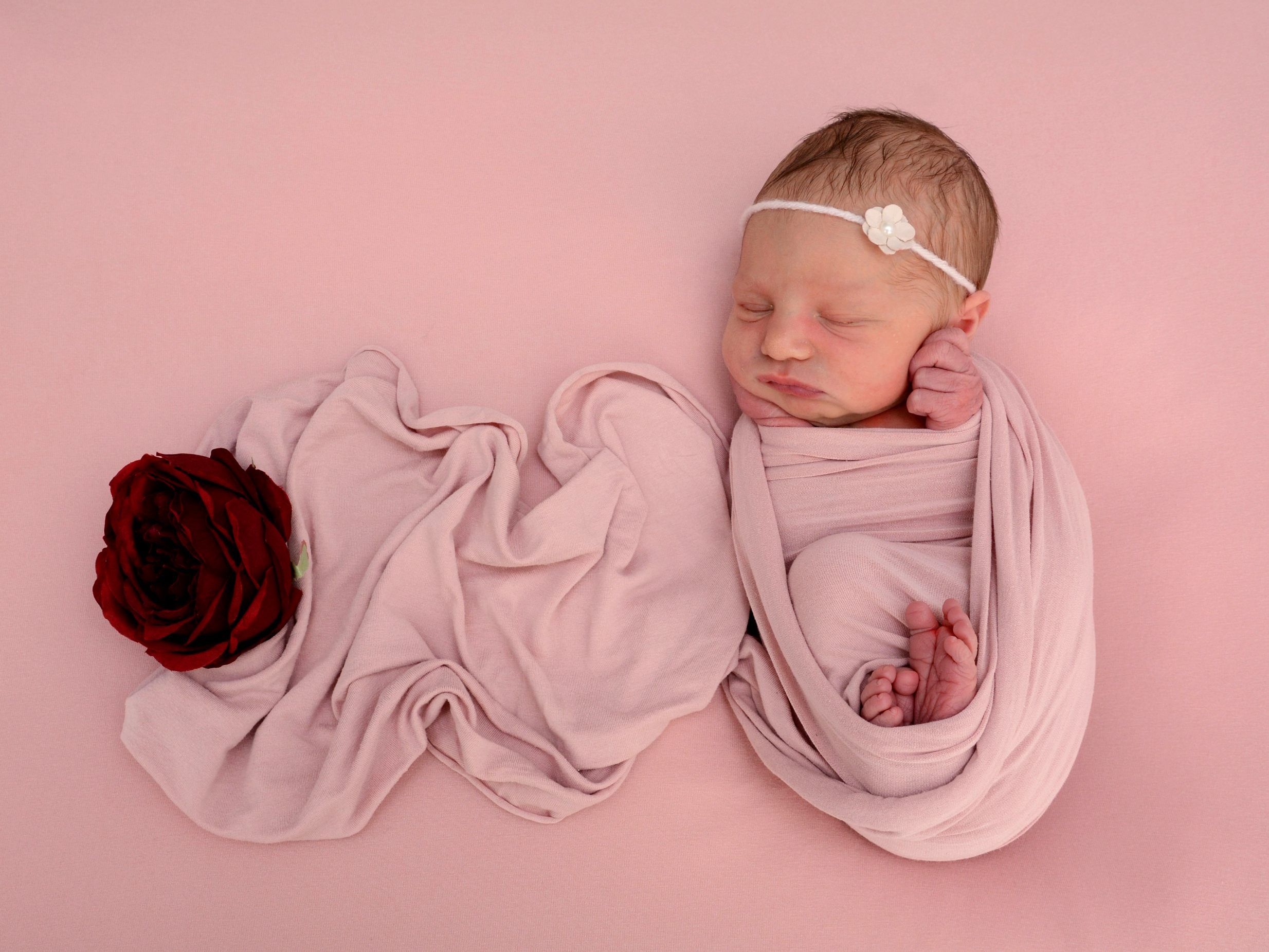 Die Vol.at - Redaktion gratuliert recht herzlich.