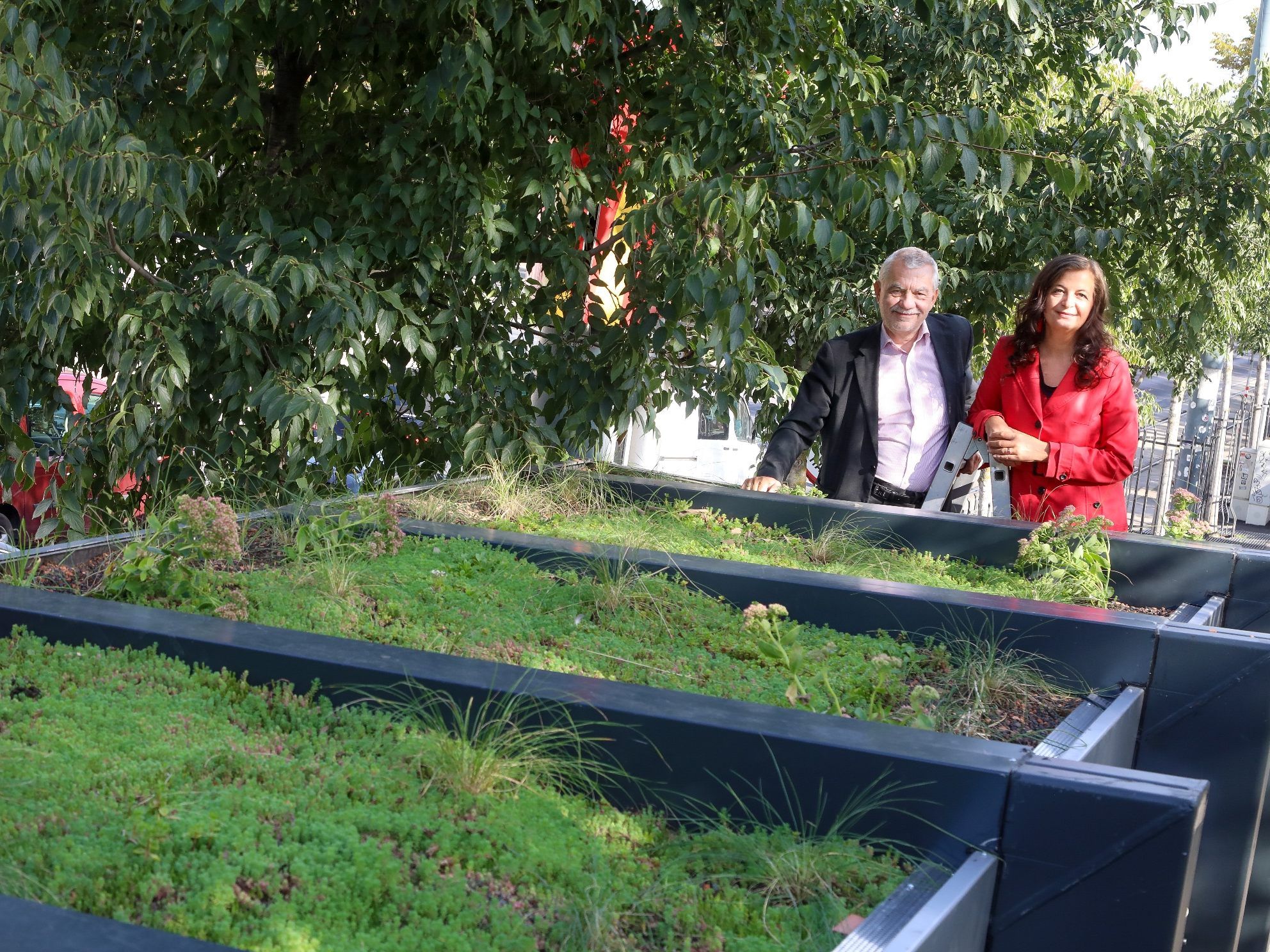 Erstmals wird auch das Dach von Wartehäuschen der Wiener Linien mit Blumen oder Kräutern bepflanzt.