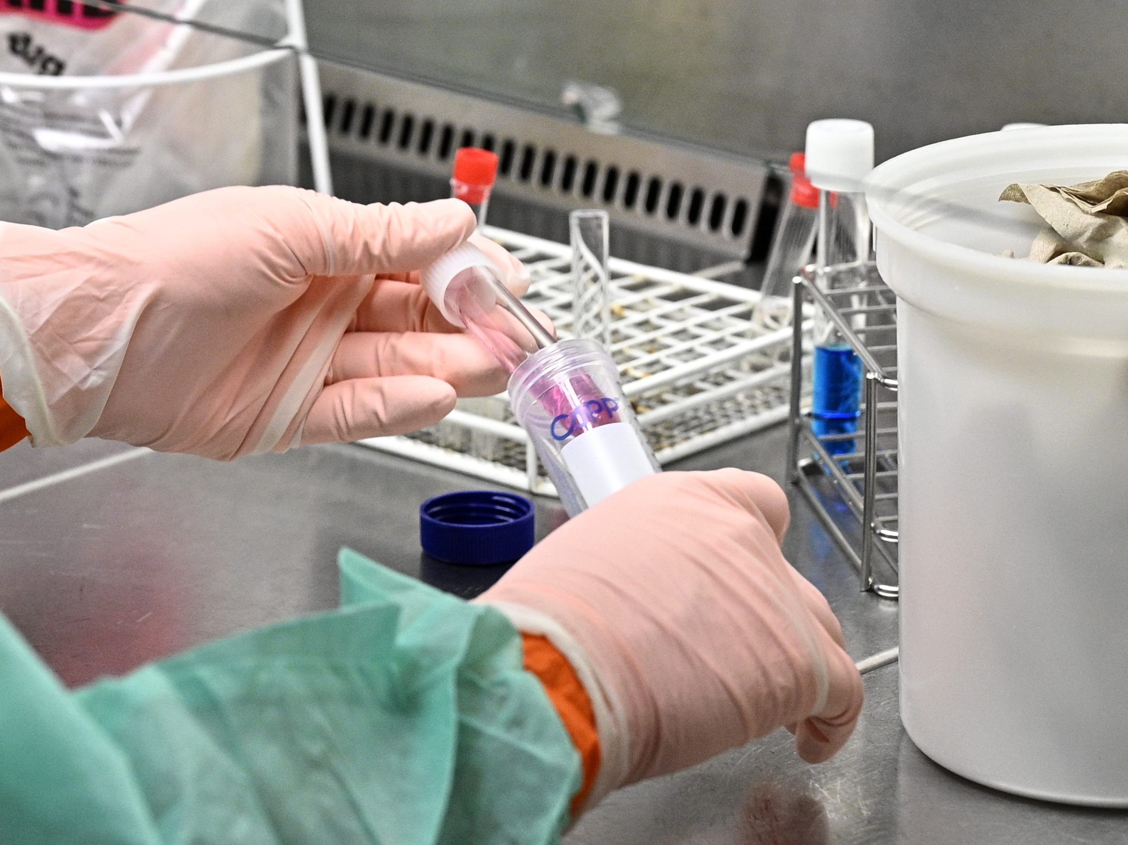 nach Coronavirus-Fällen: Die Wienwoche wird nun großteils digital fortgesetzt.