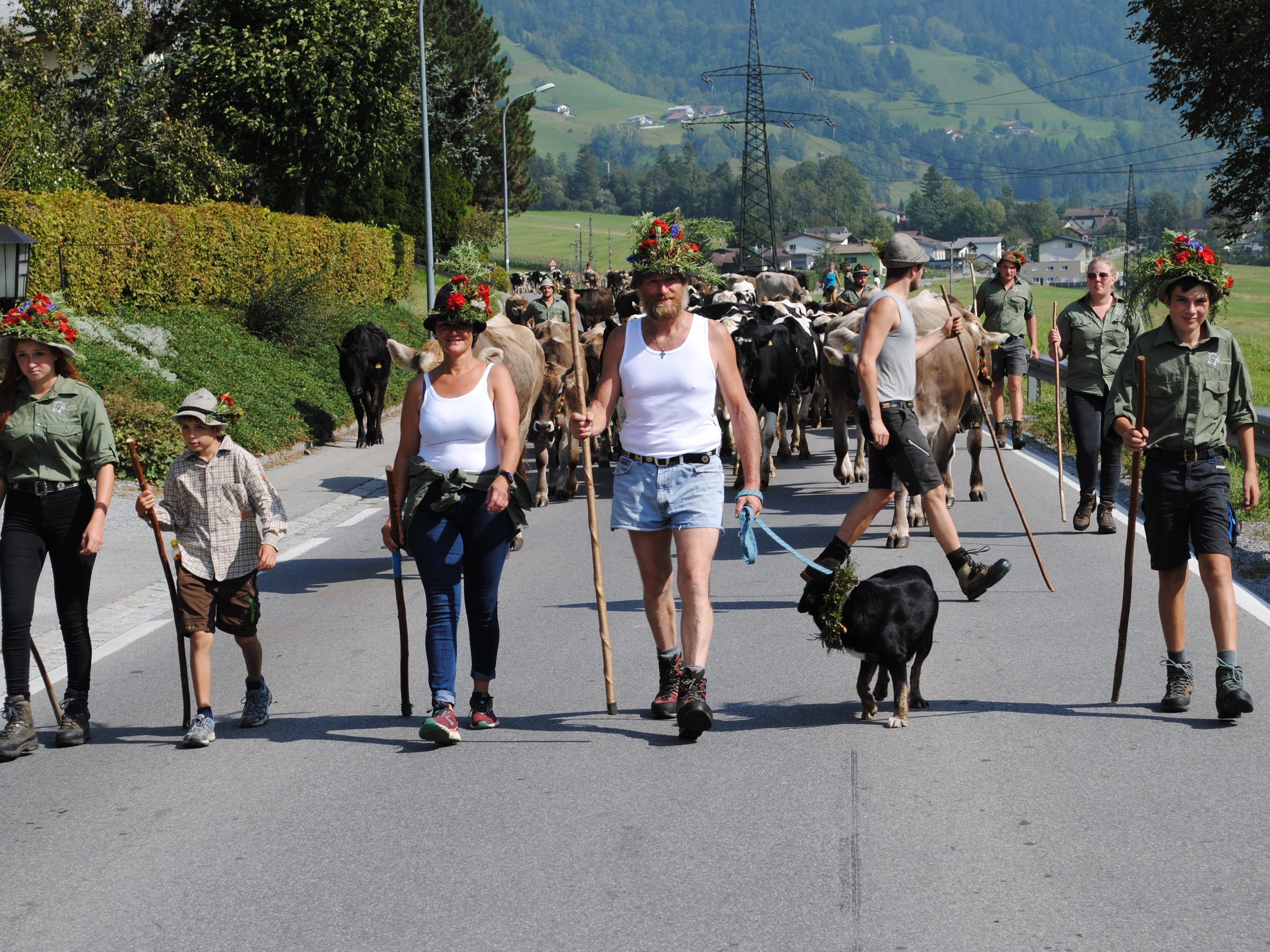 Familie Riedmann verbrachte ihre 12. Alpsaison auf der Alpe Albona Familie Riedmann verbrachte ihre 12. Alpsaison auf der Alpe Albona