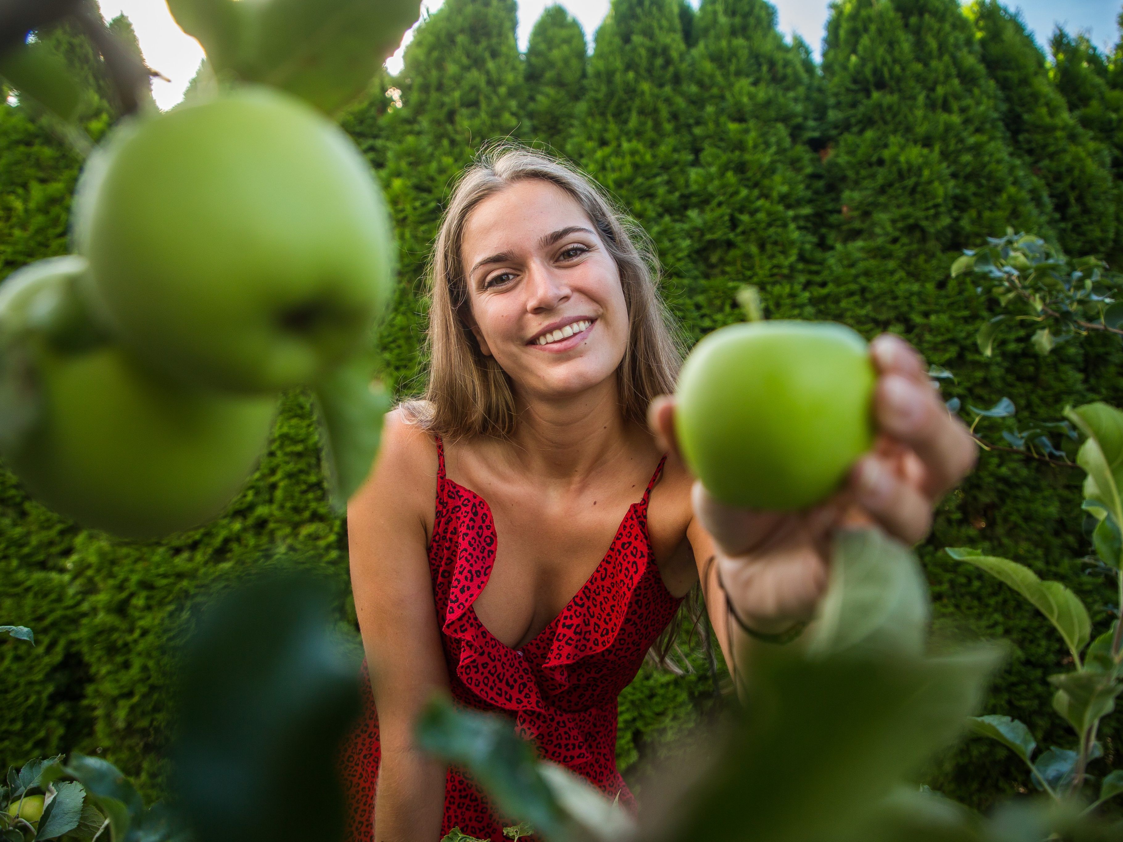Äpfel pflücken im Sommerkleid? In den nächsten Tagen durchaus möglich.