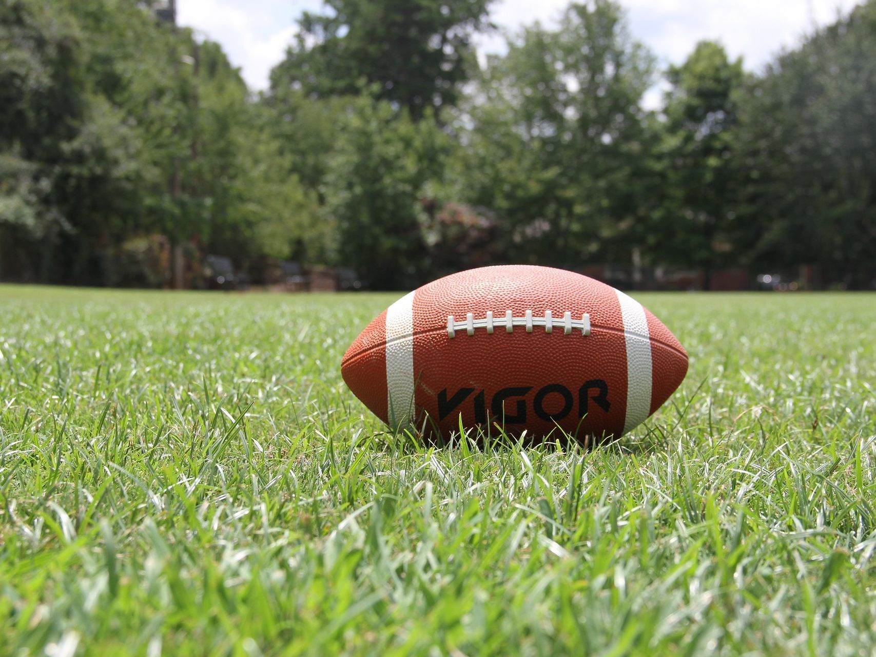 Die Vienna Vikings fuhren ihren 15. Meistertitel ein. Die Vienna Vikings fuhren ihren 15. Meistertitel ein.