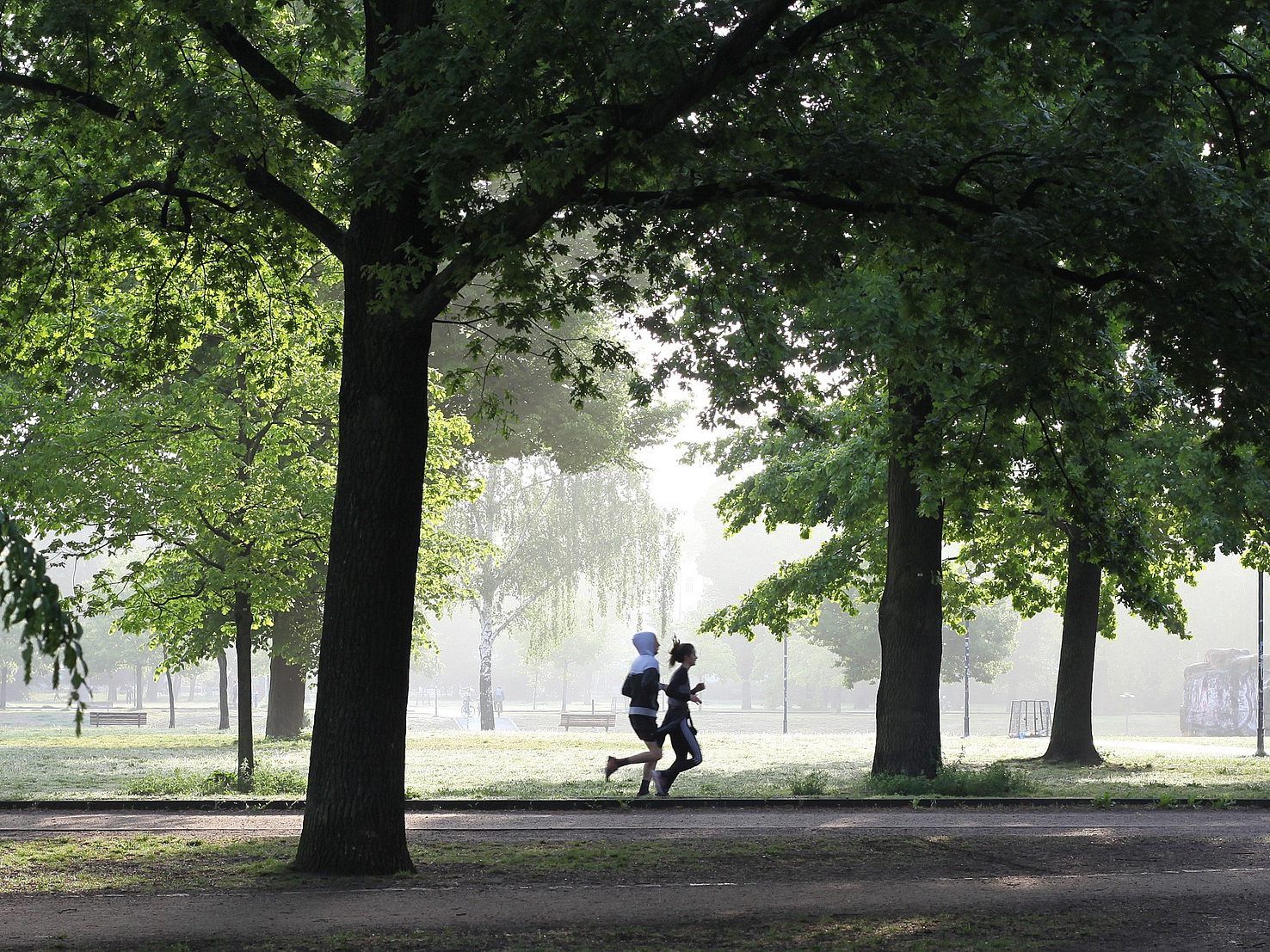 Beim "1st Women's Distance Run" in Wien soll ein Contact Tracing System für Sportveranstaltungen getestet werden. Beim "1st Women's Distance Run" in Wien soll ein Contact Tracing System für Sportveranstaltungen getestet werden.