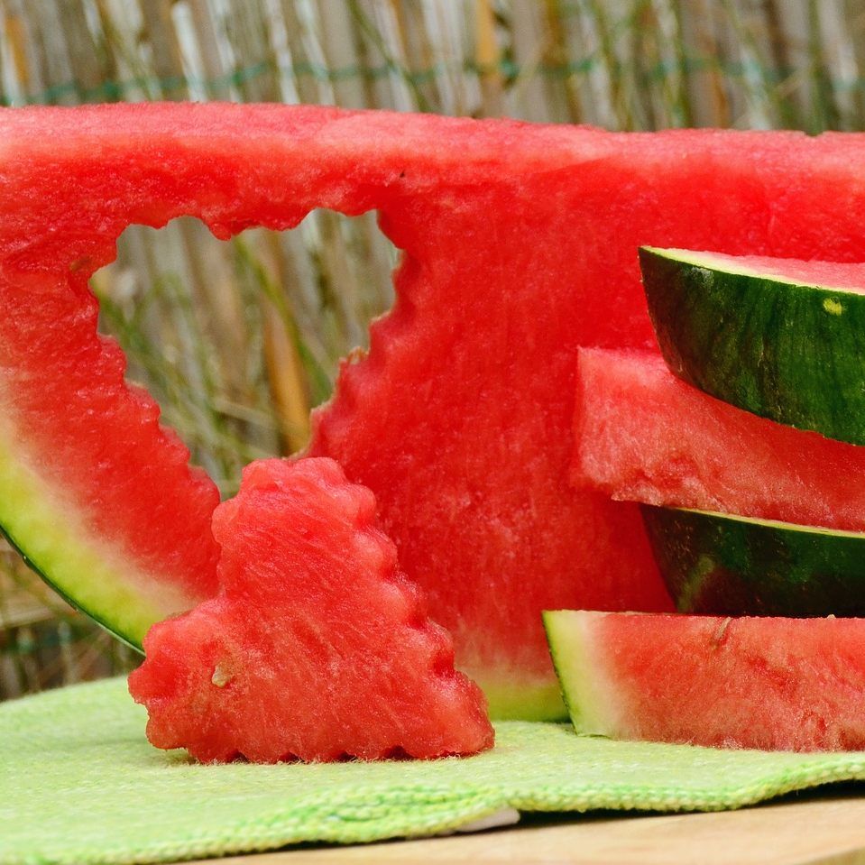 Hademar Bankhofer rät im Spätsommer und Herbst zum Genuss von Melonen.